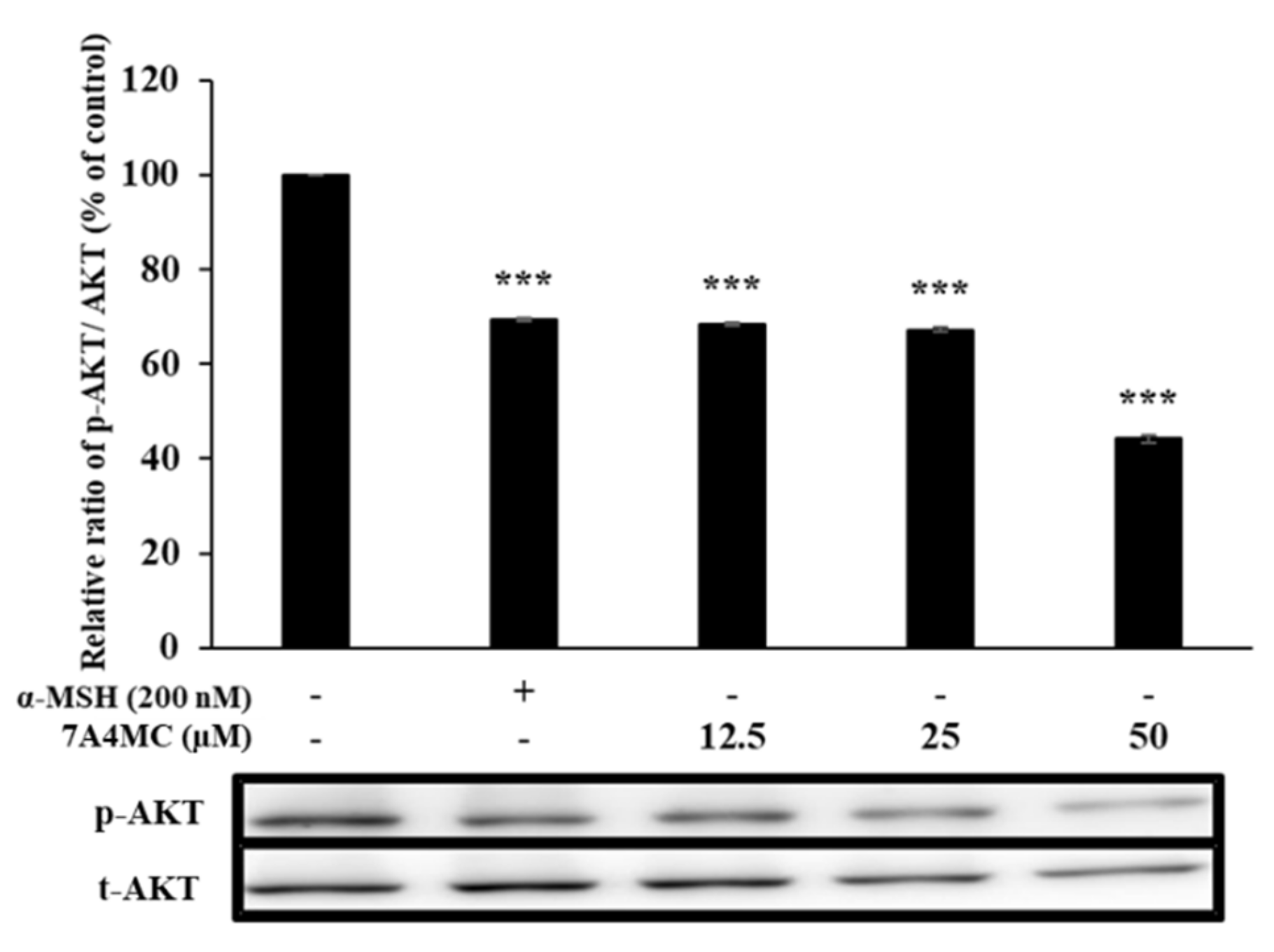 Cosmetics 07 00094 g006 Cosmetics 07 00094 g006