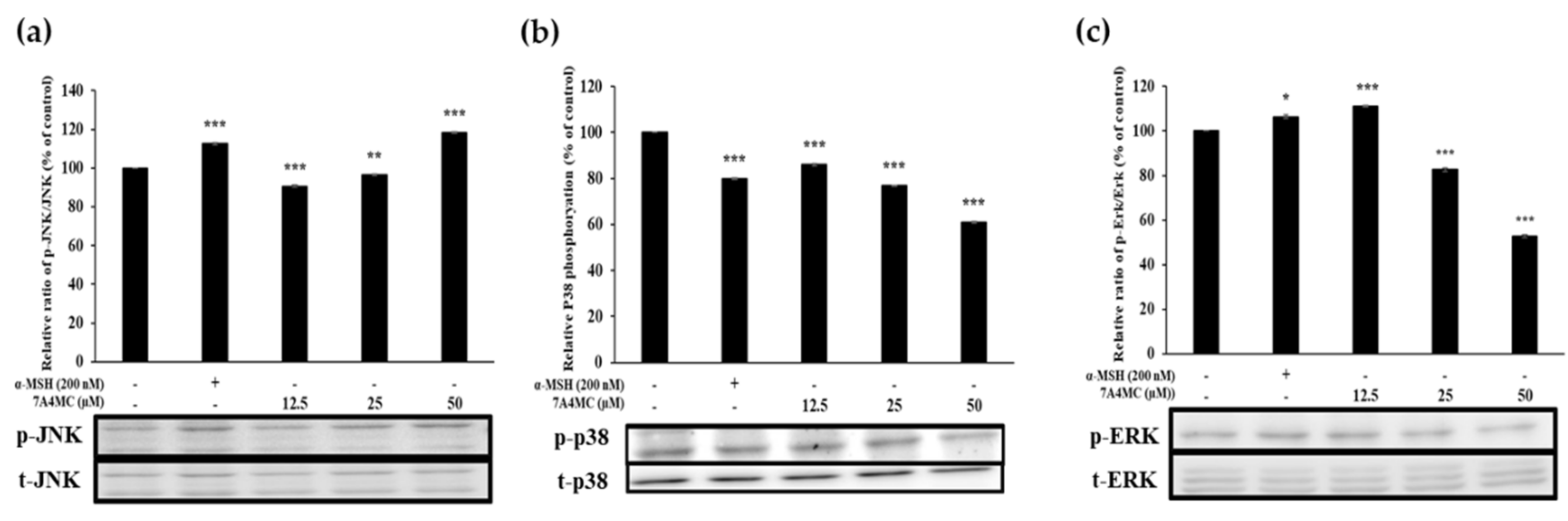 Cosmetics 07 00094 g007 Cosmetics 07 00094 g007