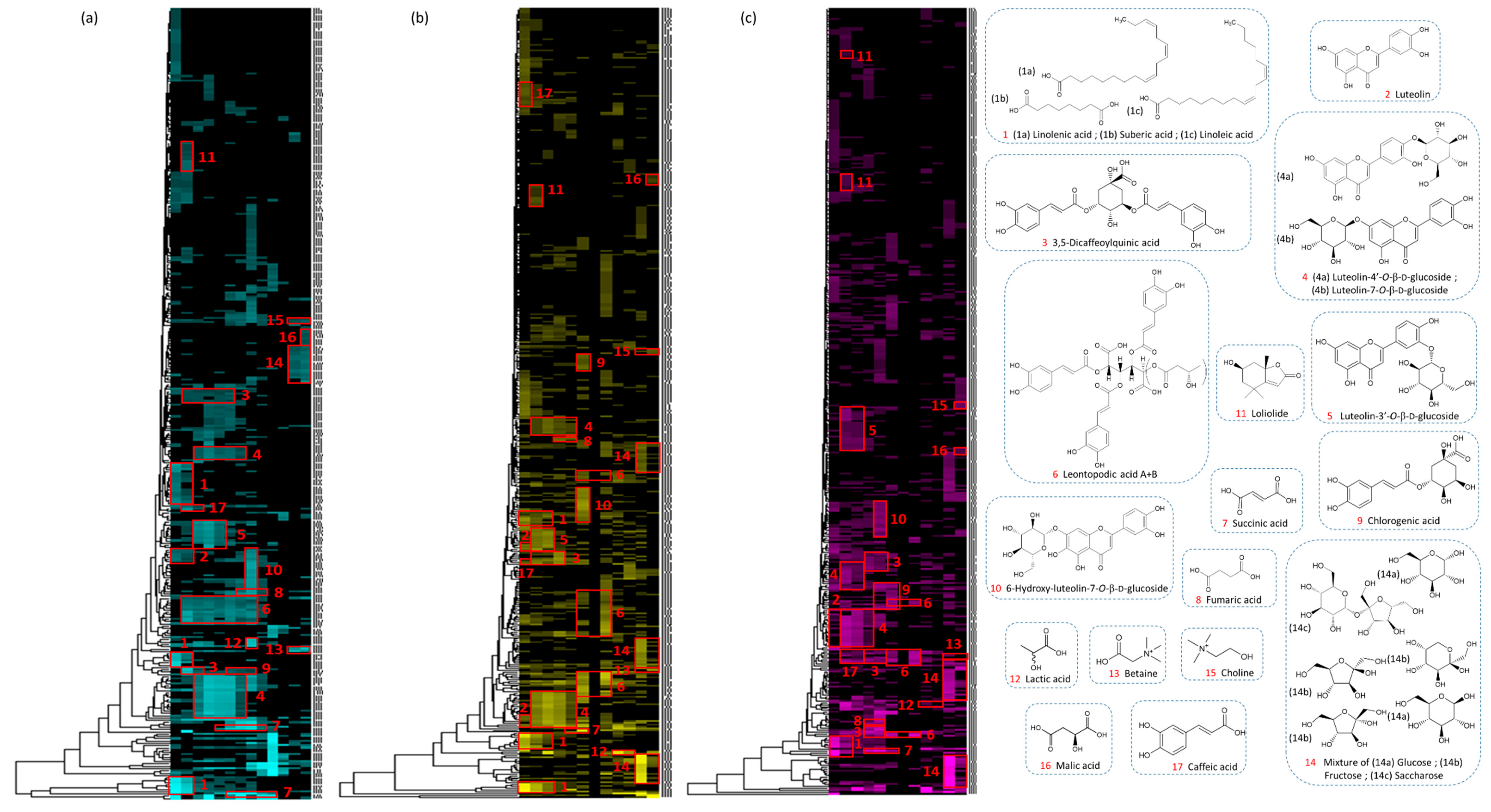 Cosmetics 08 00010 g006 Cosmetics 08 00010 g006