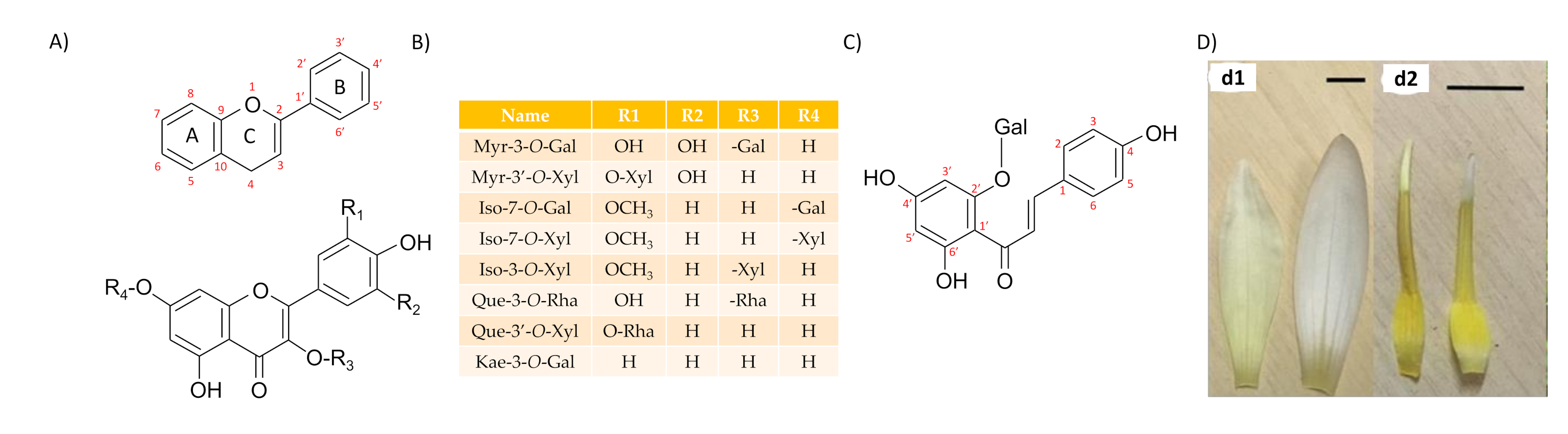 Cosmetics 08 00012 g002