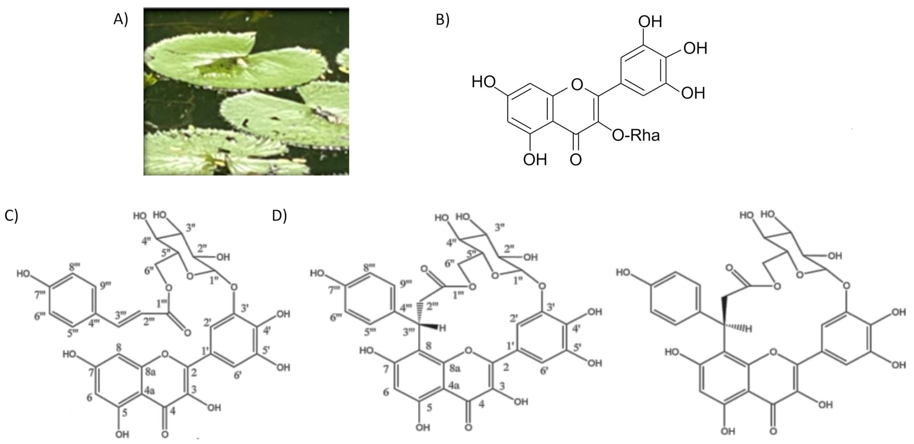 Cosmetics 08 00012 g003