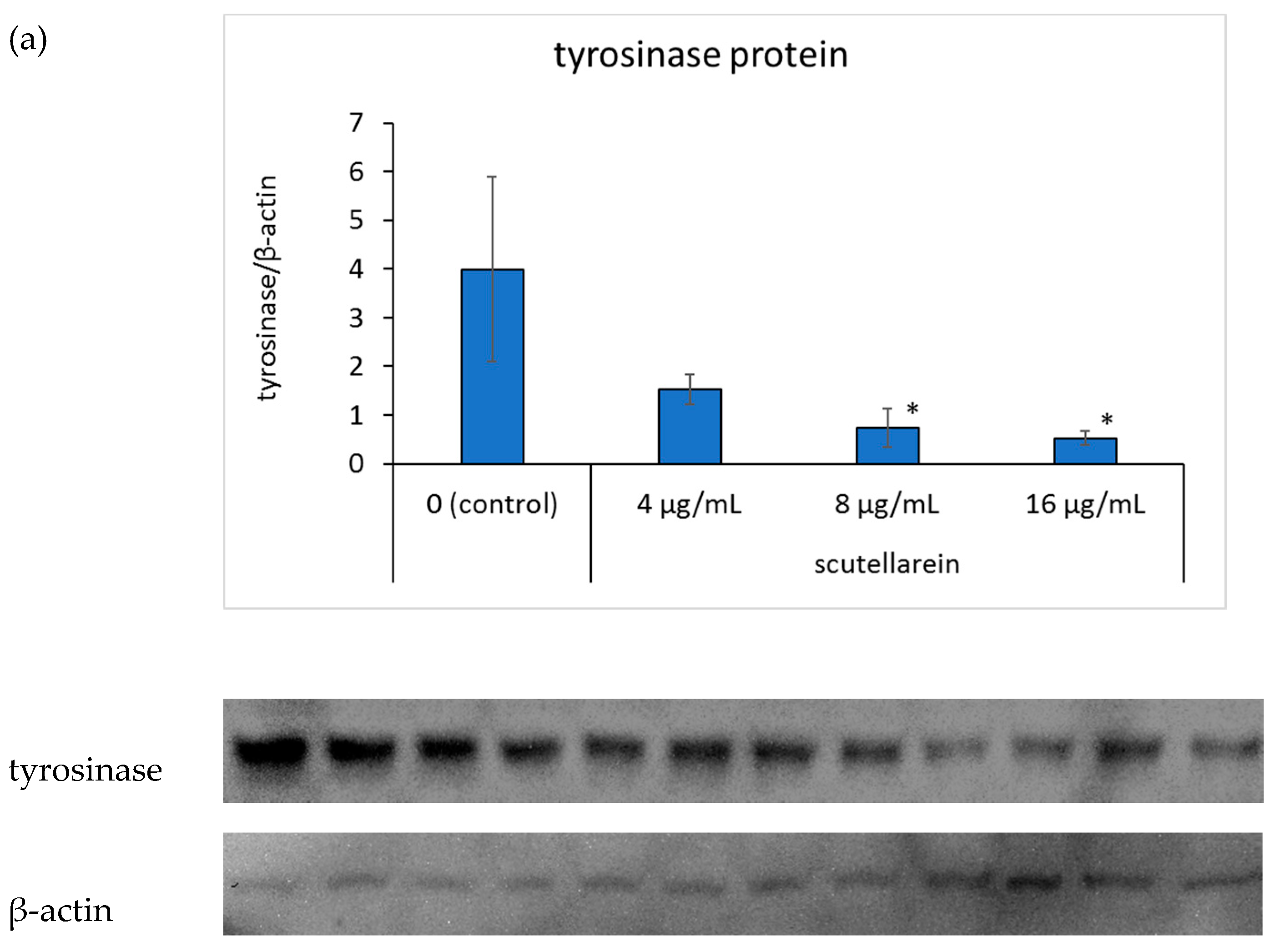 Cosmetics 08 00015 g006a Cosmetics 08 00015 g006a