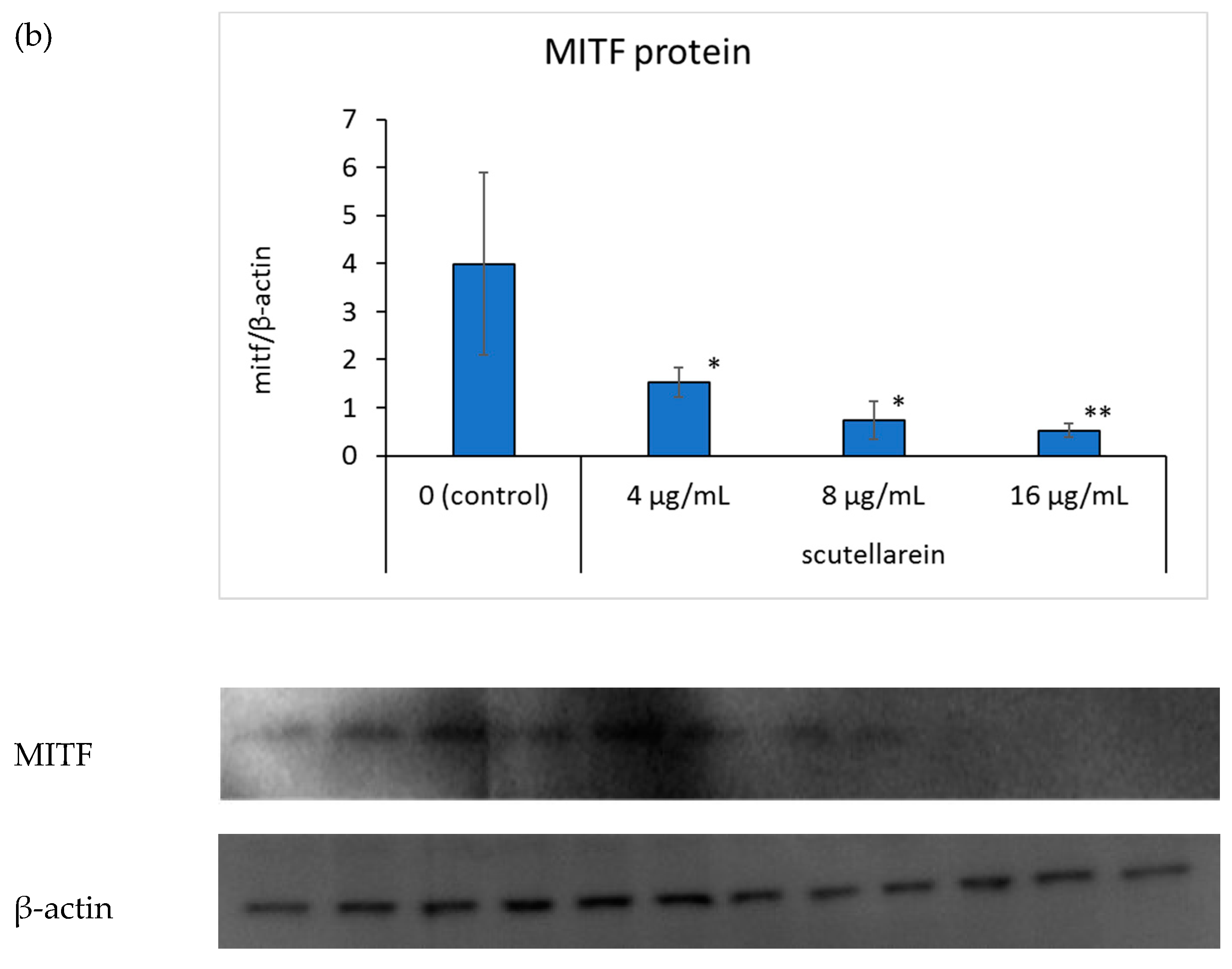 Cosmetics 08 00015 g006b Cosmetics 08 00015 g006b