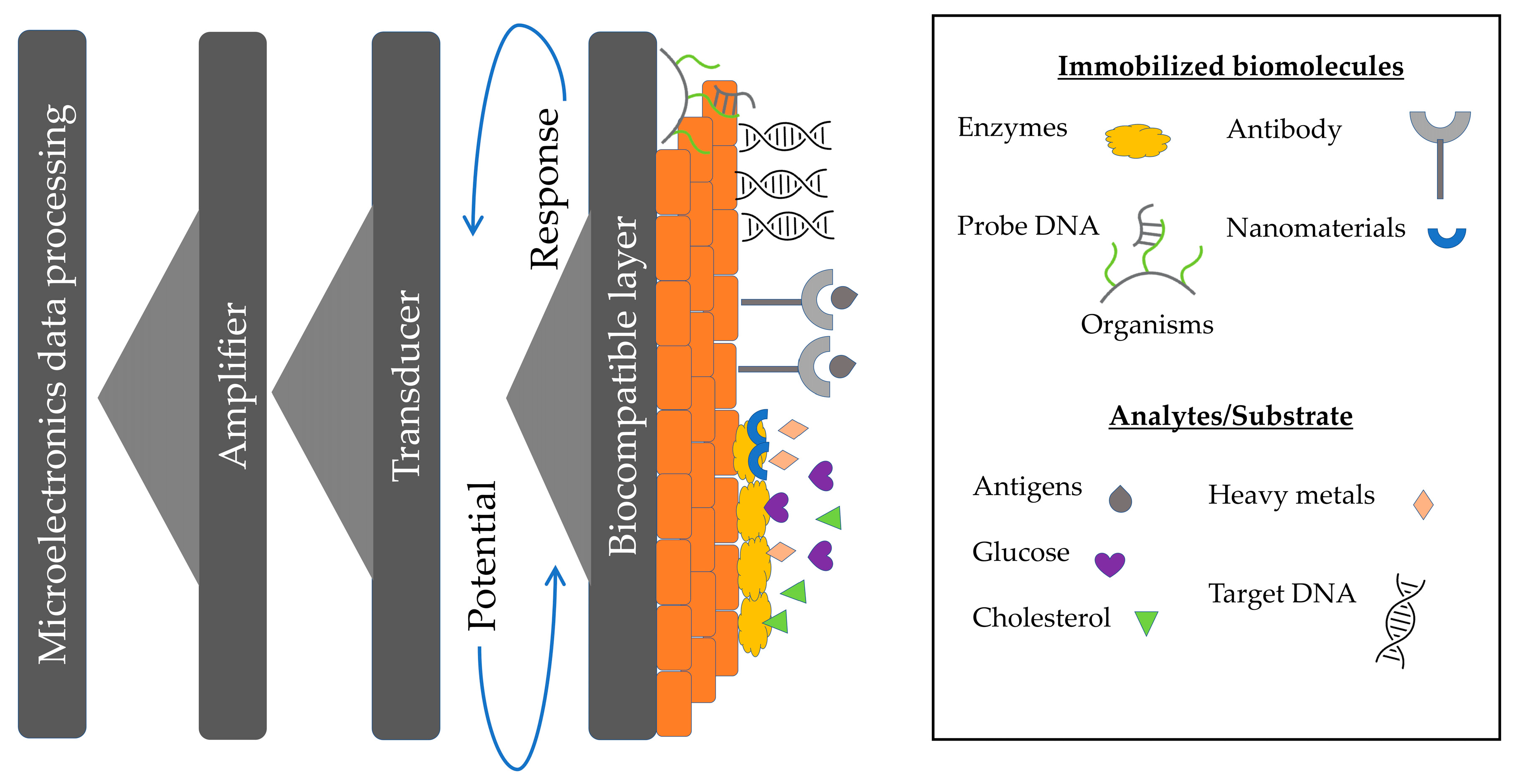 Cosmetics 08 00017 g001 Cosmetics 08 00017 g001