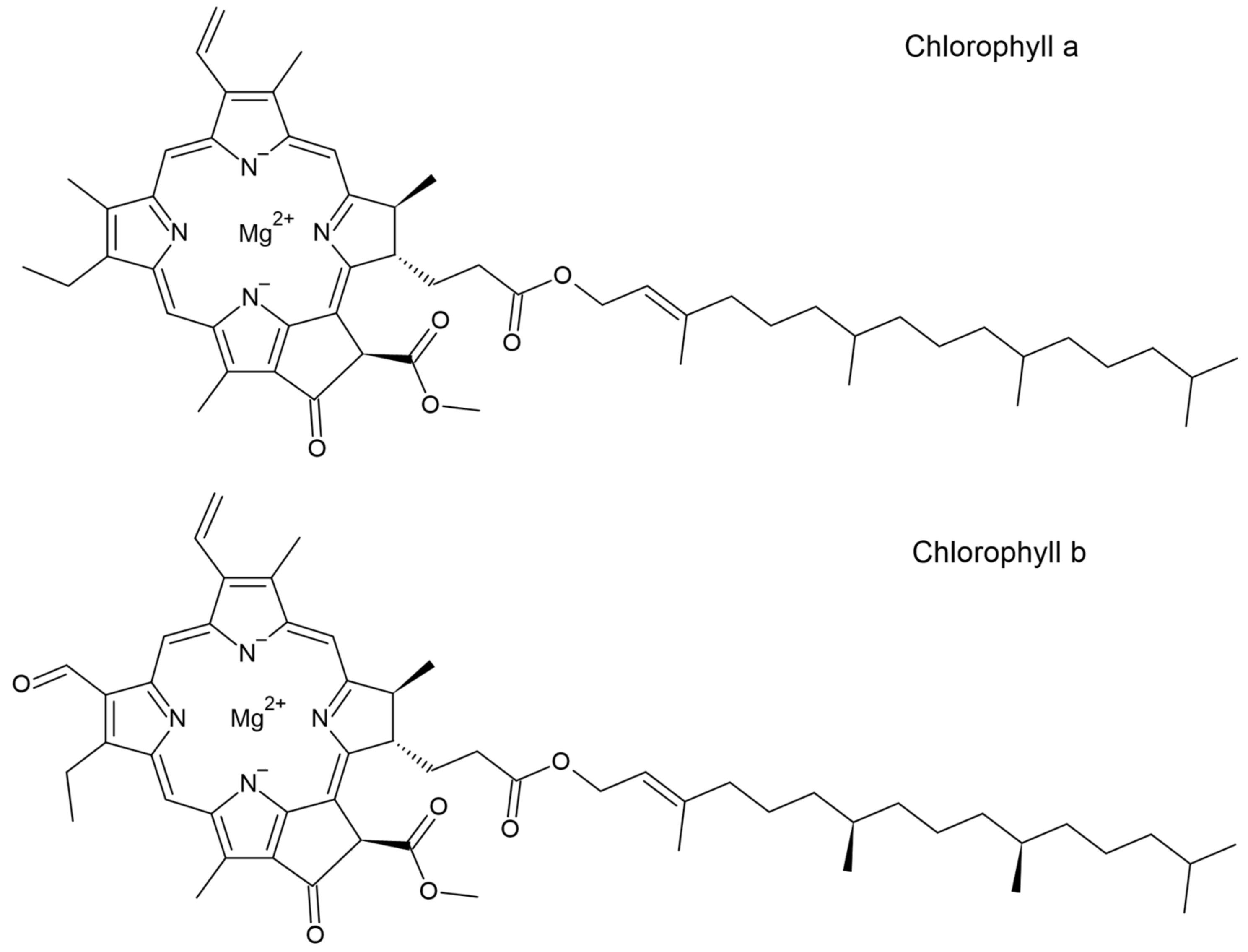 Cosmetics 08 00021 g001 Cosmetics 08 00021 g001