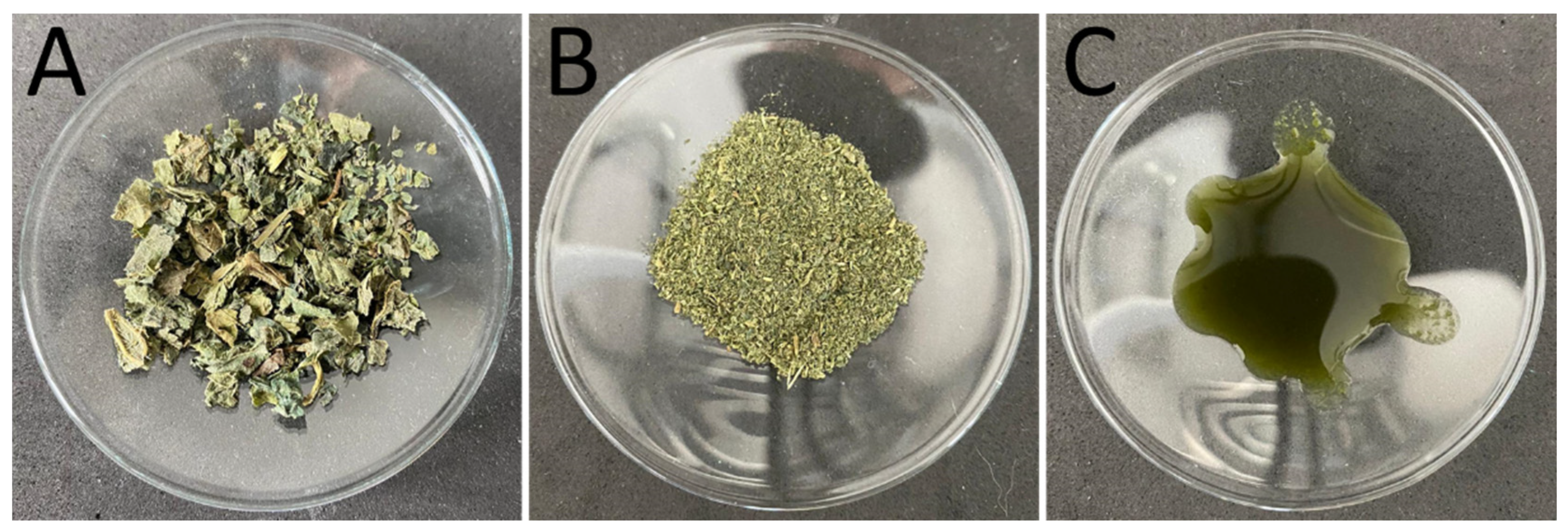 Cosmetics 08 00021 g002 Cosmetics 08 00021 g002