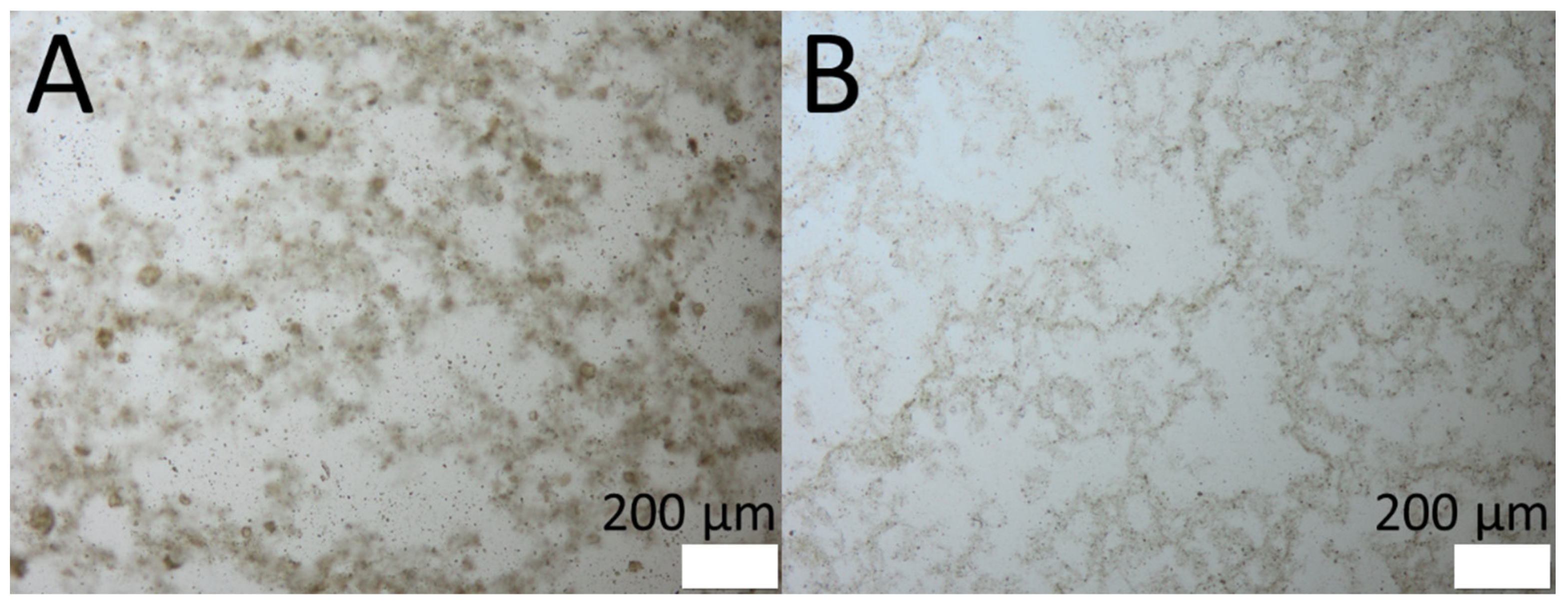 Cosmetics 08 00021 g003 Cosmetics 08 00021 g003