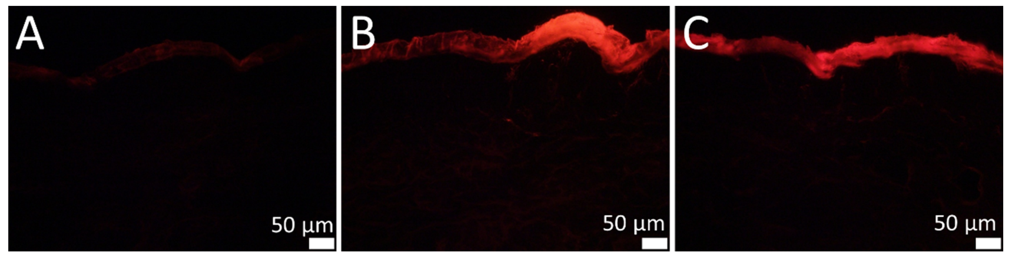 Cosmetics 08 00021 g006 Cosmetics 08 00021 g006