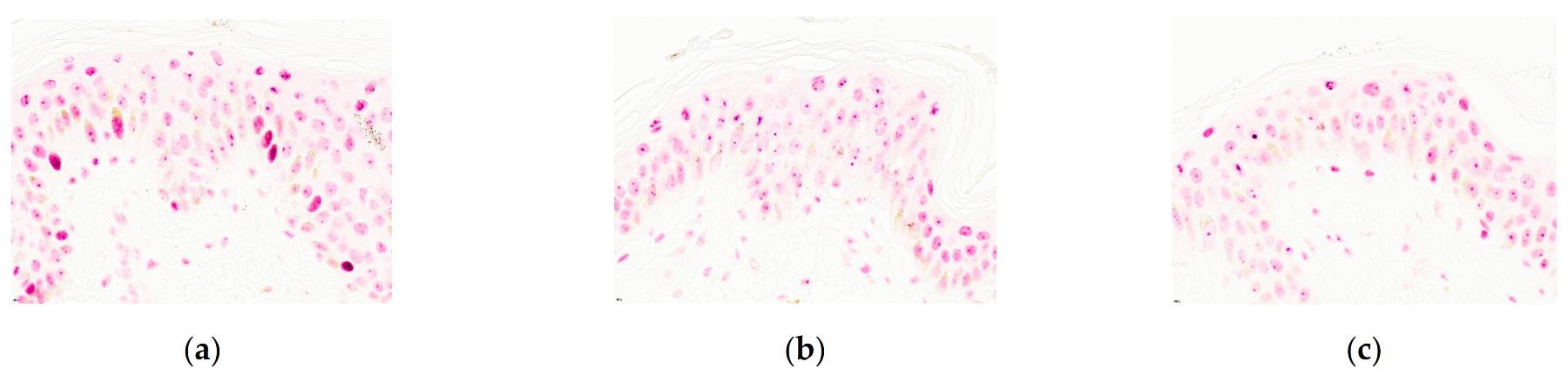 Cosmetics 08 00023 g006