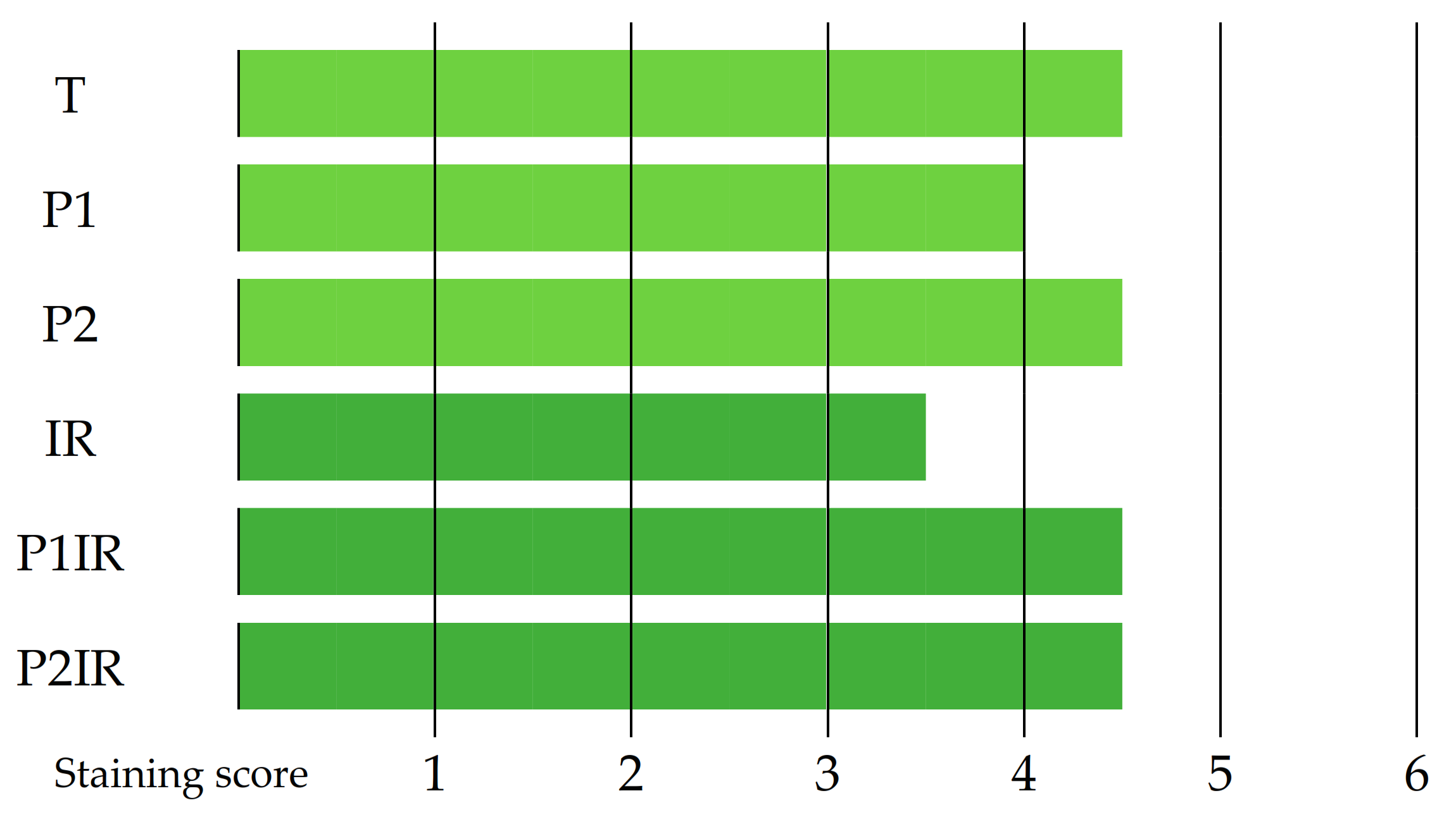 Cosmetics 08 00023 g007