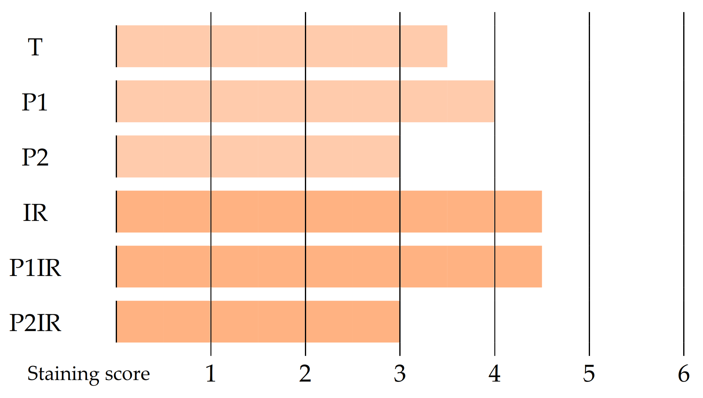 Cosmetics 08 00023 g009