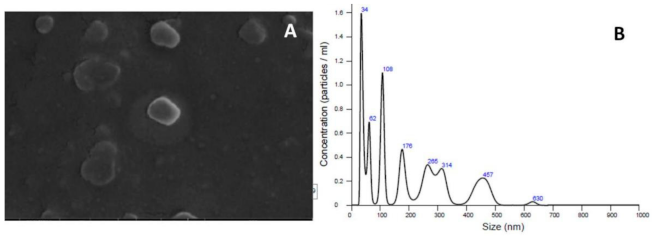 Cosmetics 08 00028 g004 Cosmetics 08 00028 g004
