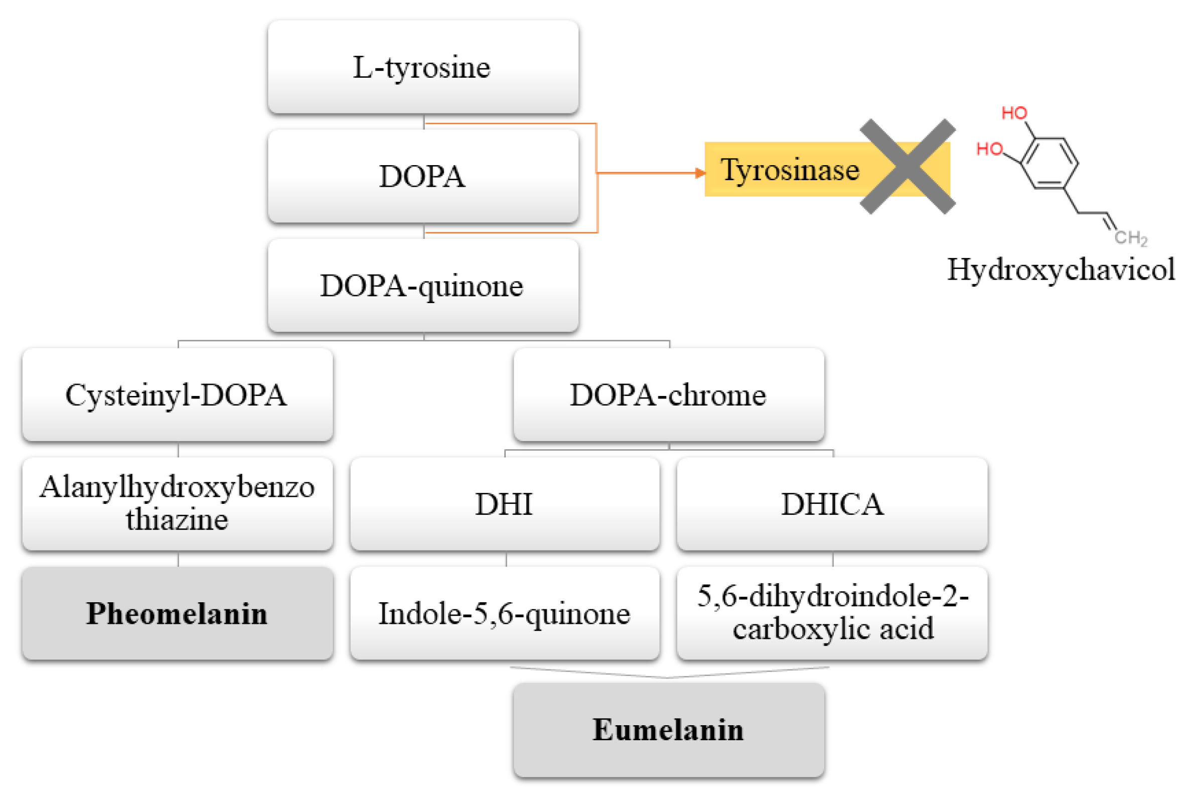 Cosmetics 08 00032 g002