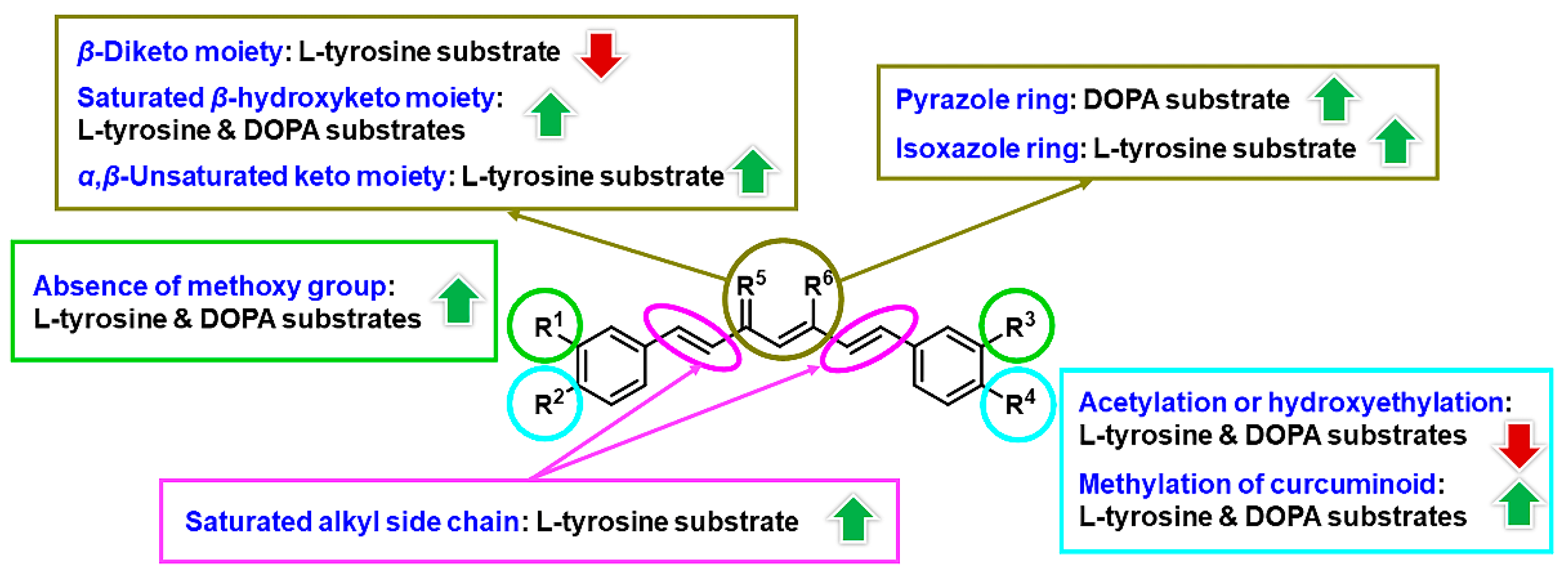 Cosmetics 08 00035 g001 Cosmetics 08 00035 g001