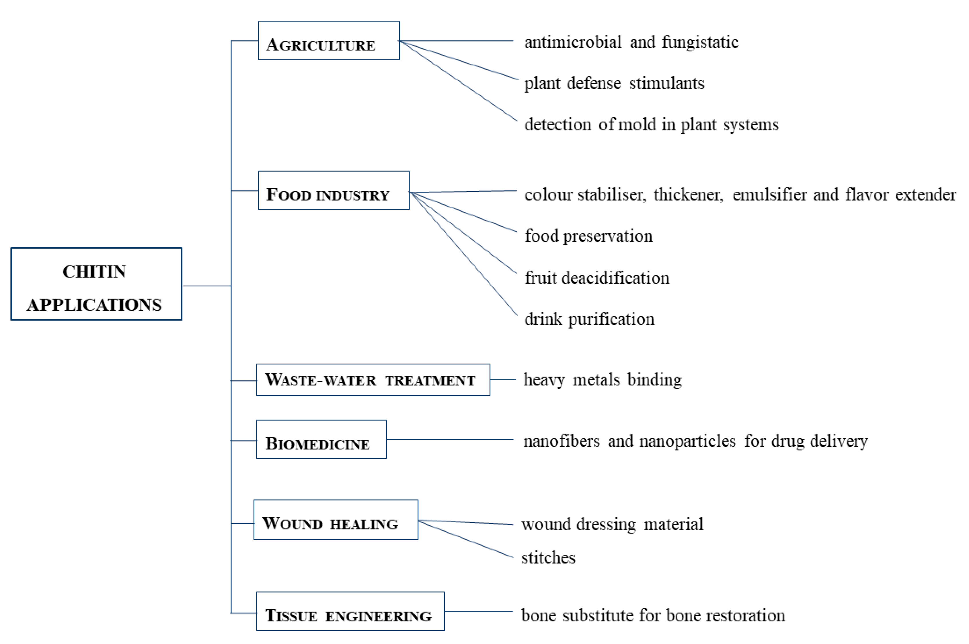 Cosmetics 08 00040 g003