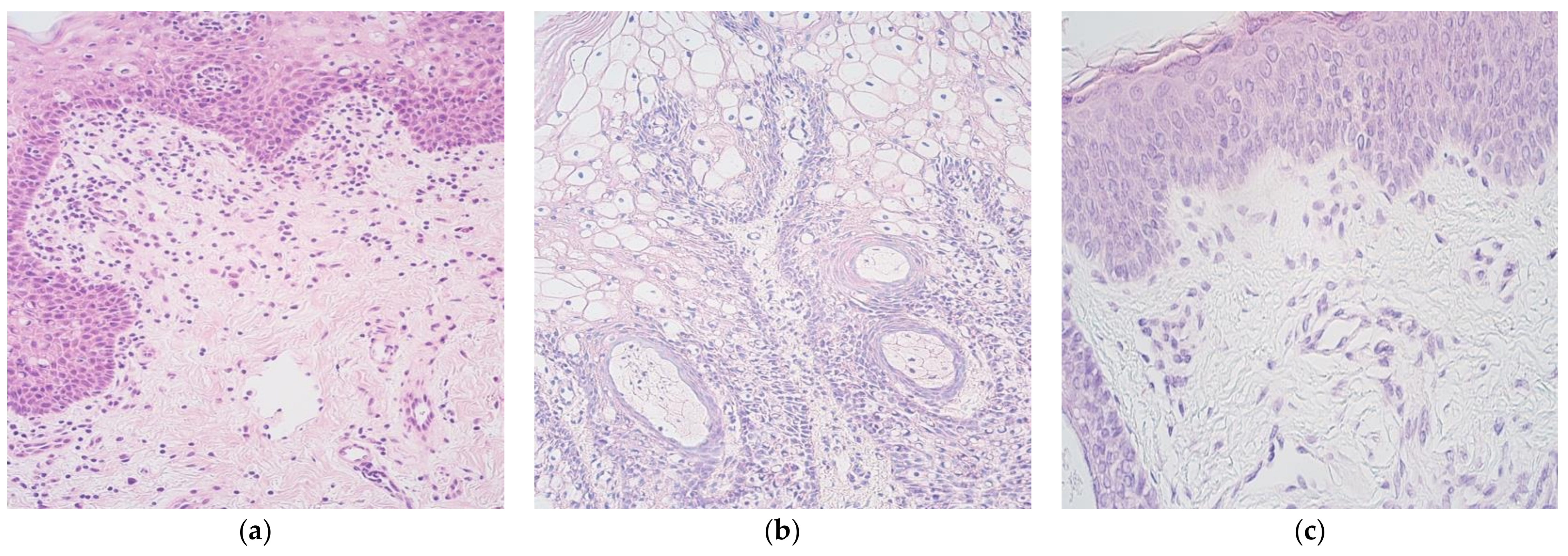 Cosmetics 08 00042 g001 Cosmetics 08 00042 g001