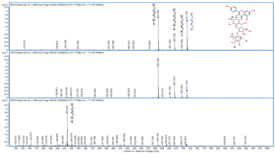 Cosmetics | June 2021 - Browse Articles