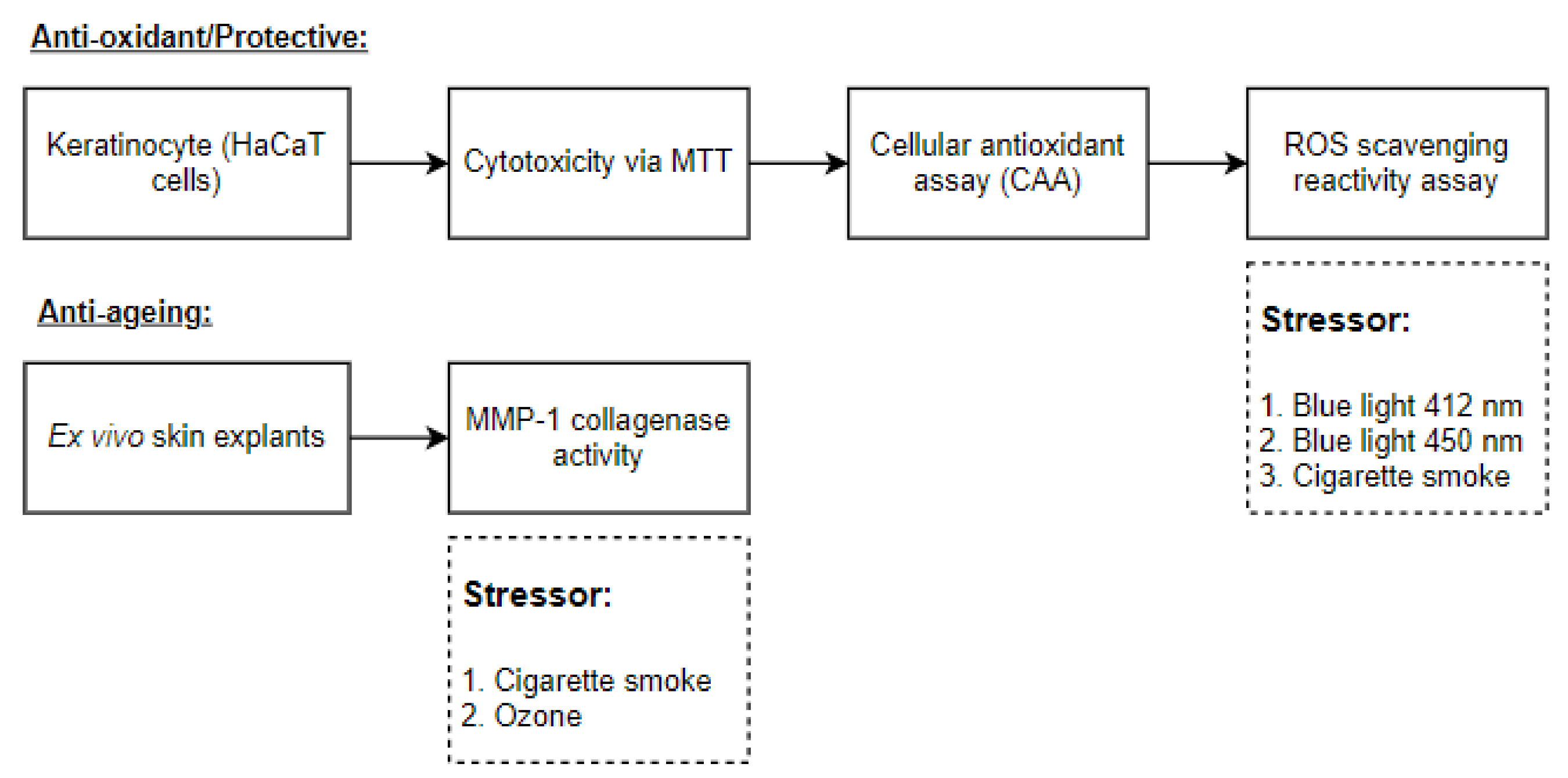 Cosmetics 08 00053 g001