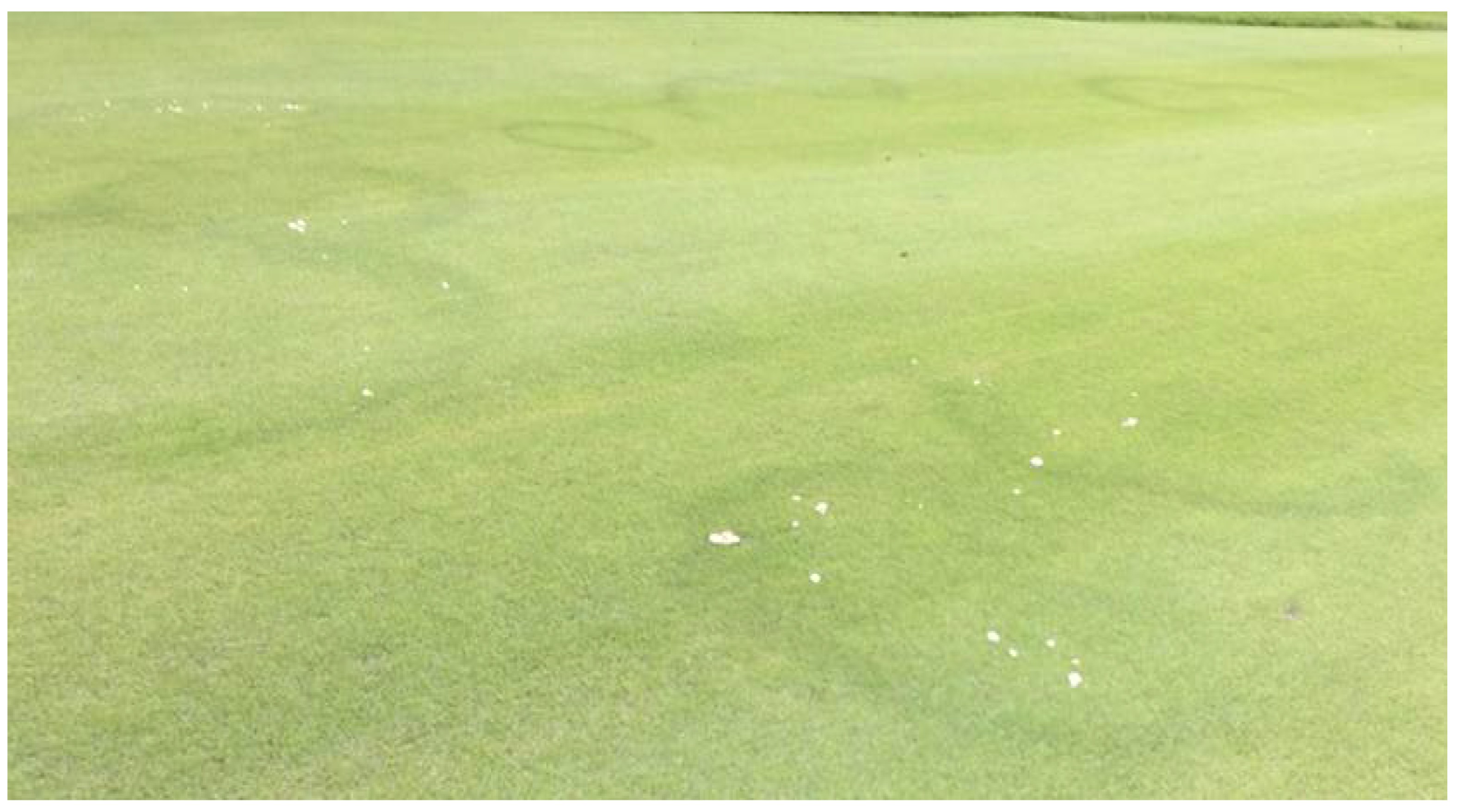 Cosmetics 08 00060 g001 Cosmetics 08 00060 g001