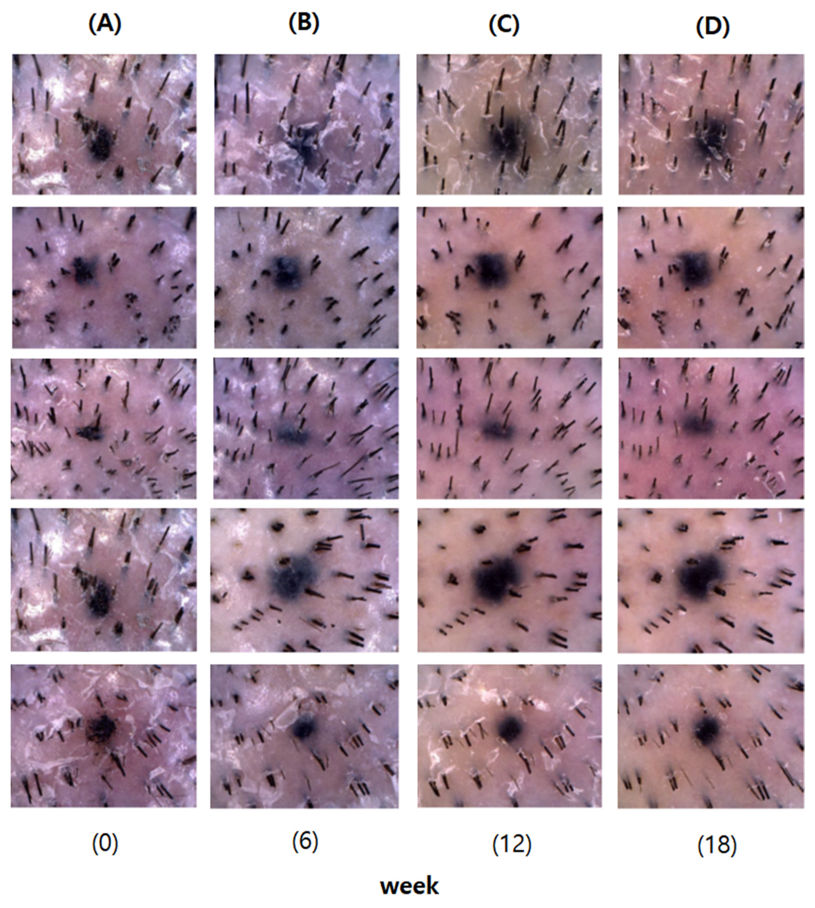 Cosmetics 08 00063 g005 550