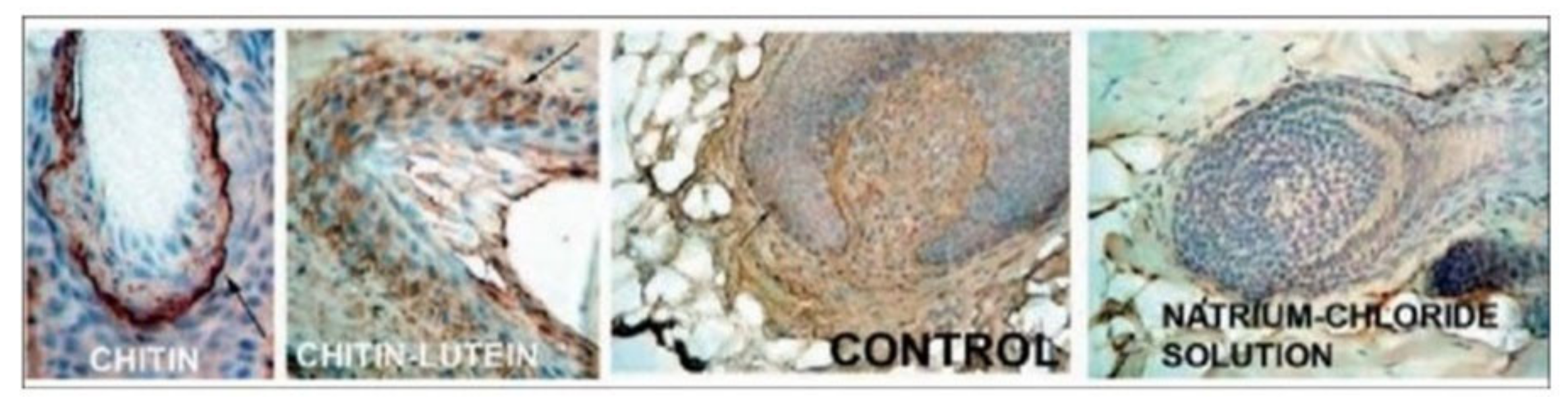 Cosmetics 08 00065 g002