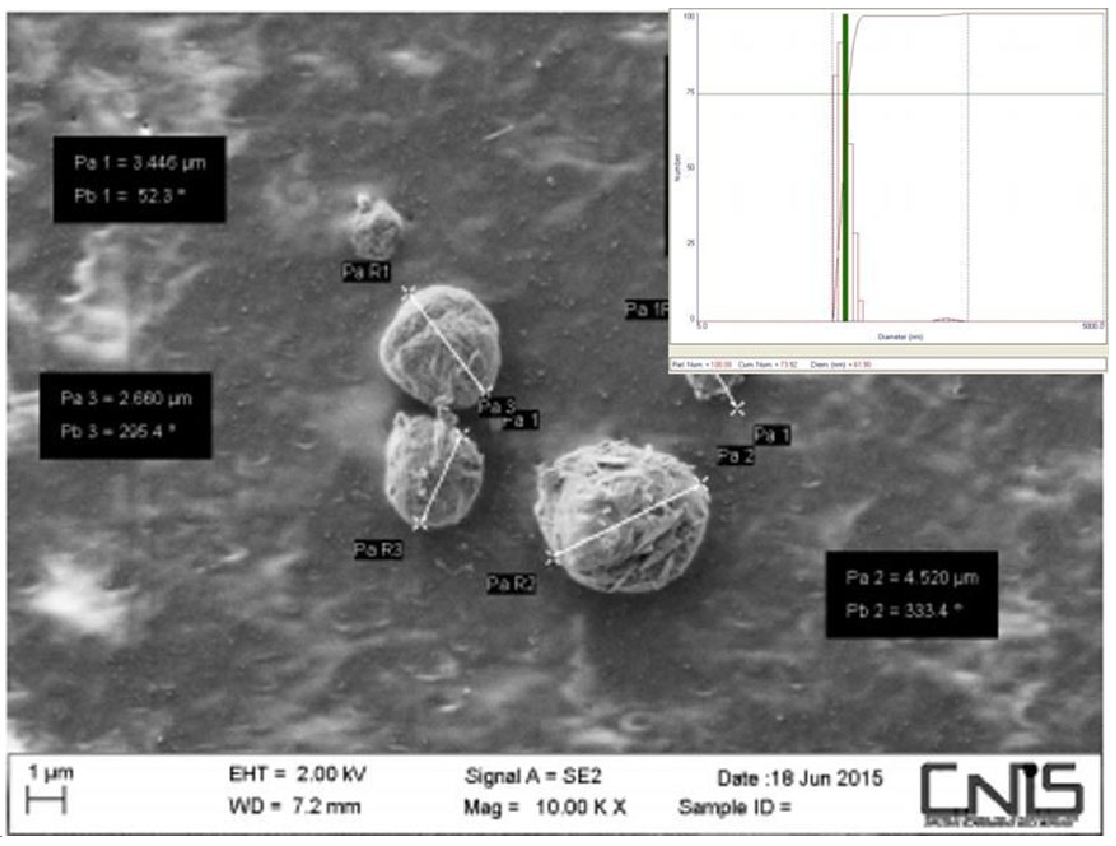 Cosmetics 08 00065 g006