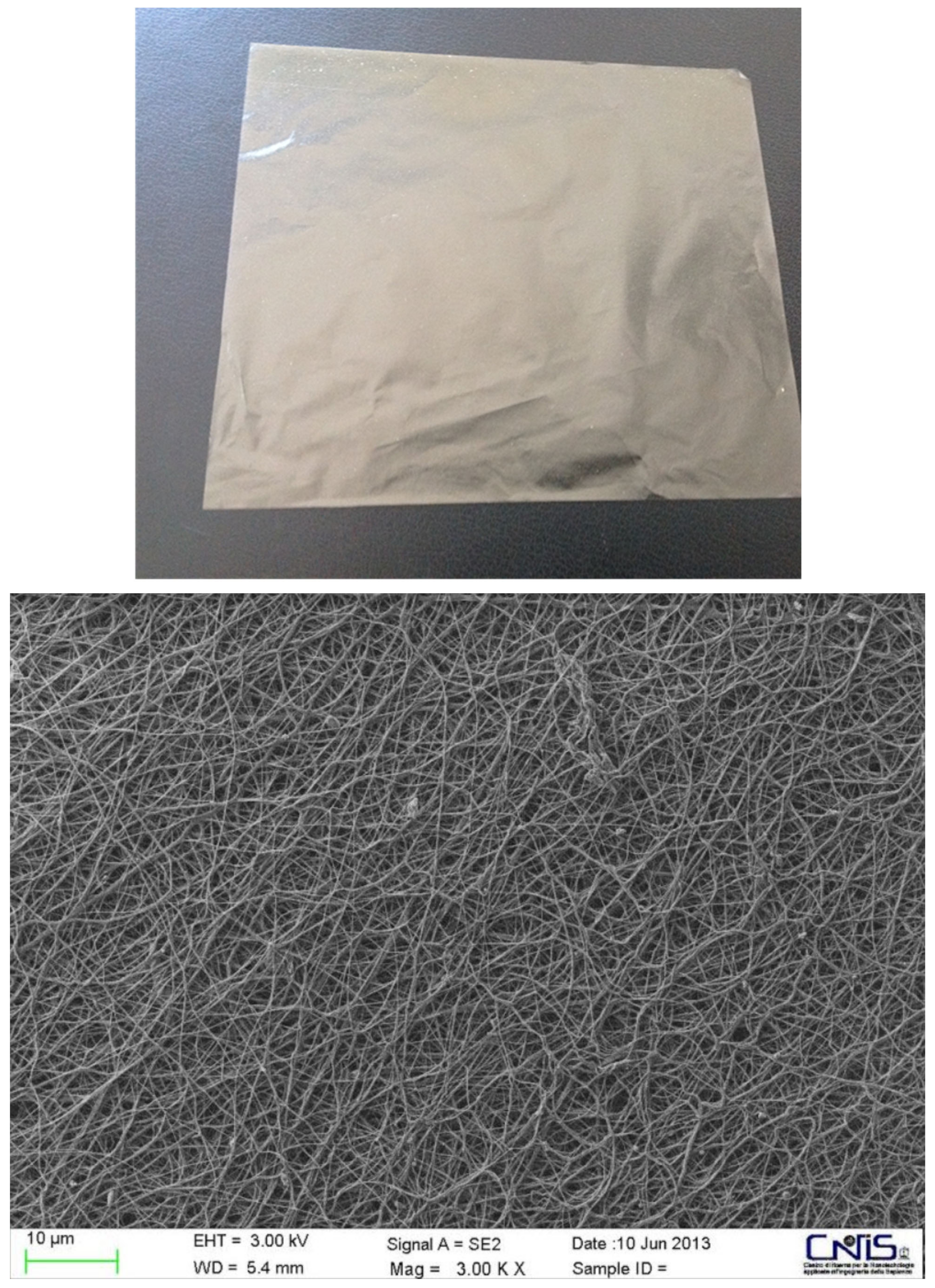 Cosmetics 08 00065 g007