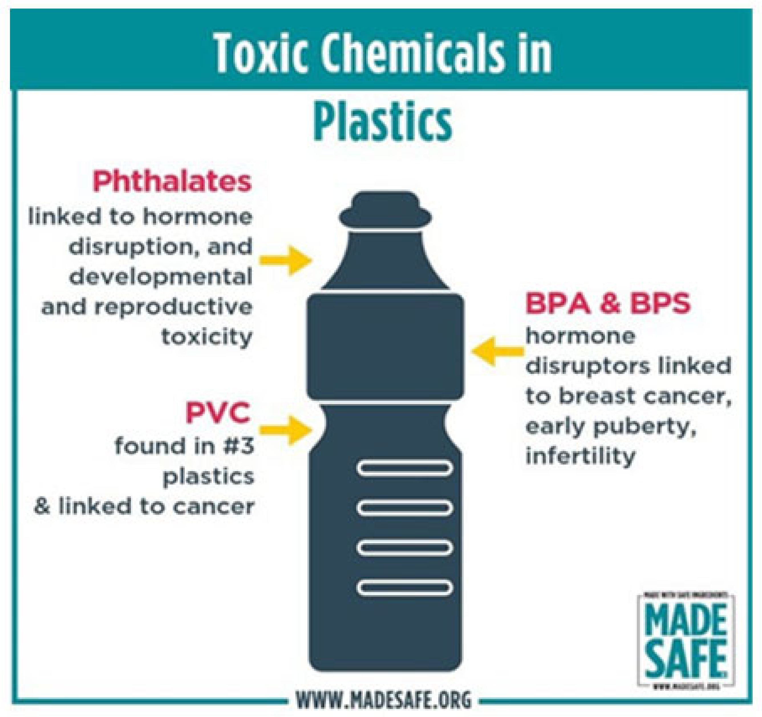 Cosmetics 08 00065 g016