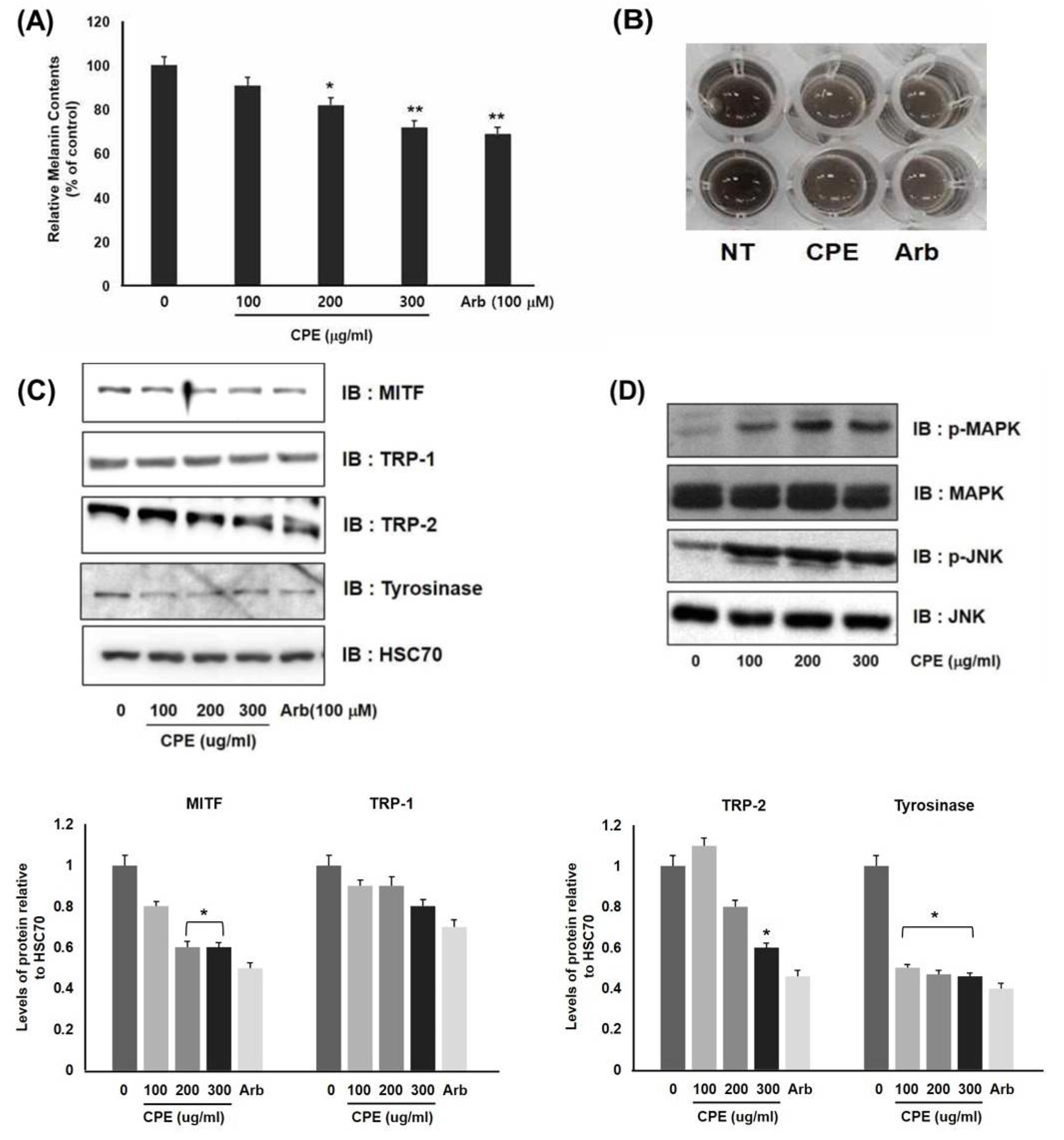 Cosmetics 08 00067 g001 Cosmetics 08 00067 g001