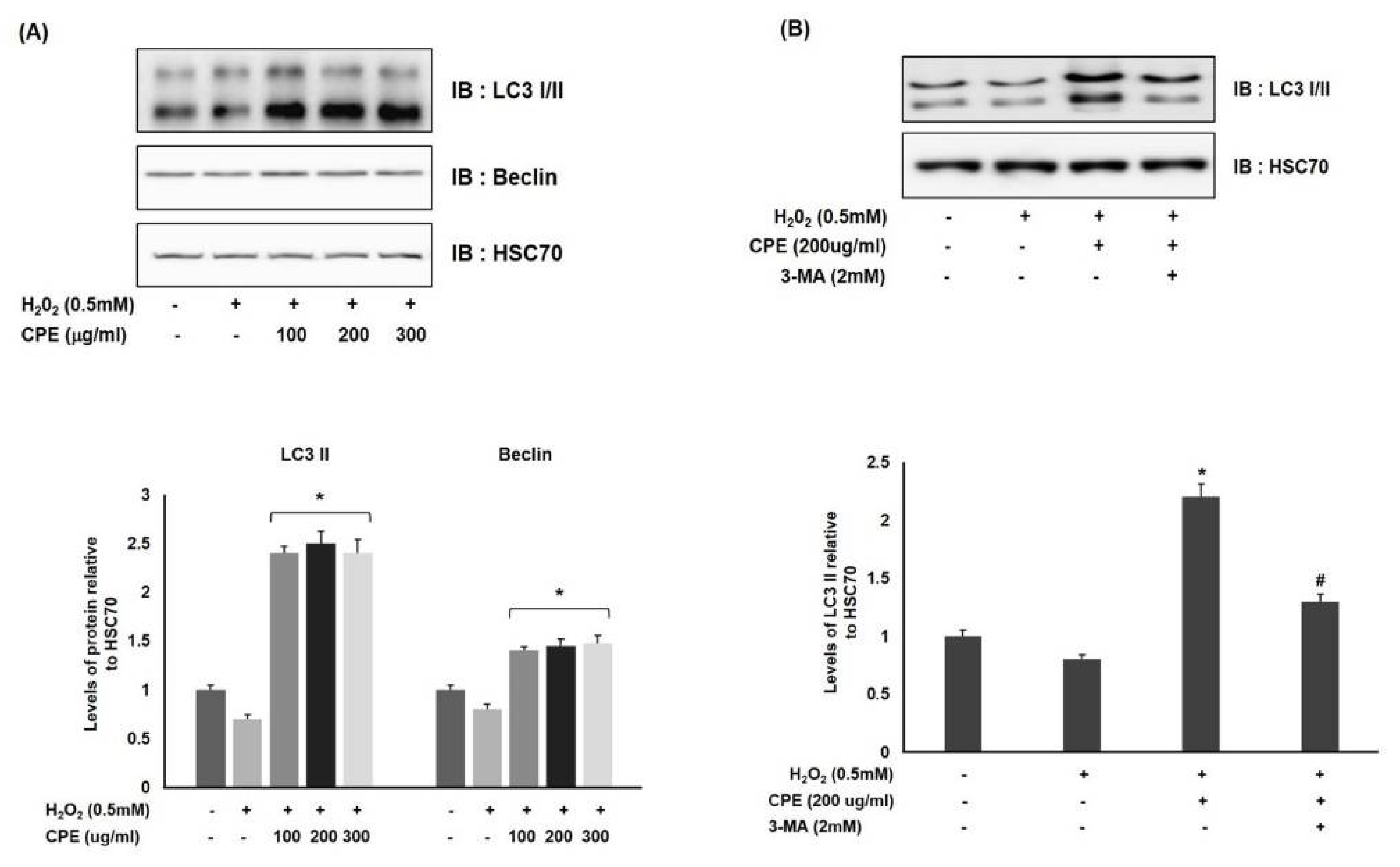 Cosmetics 08 00067 g004 Cosmetics 08 00067 g004