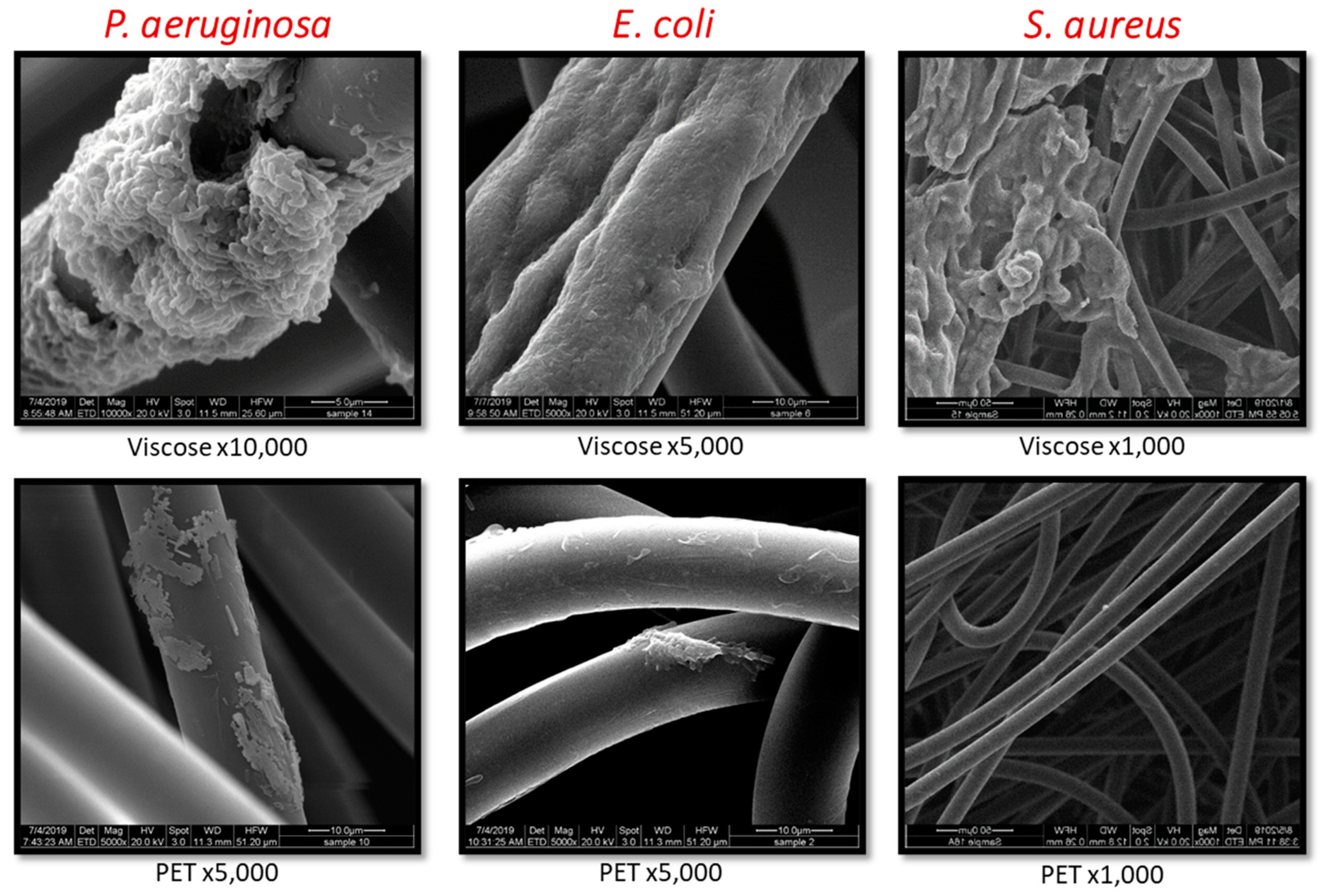 Cosmetics 08 00073 g003 Cosmetics 08 00073 g003