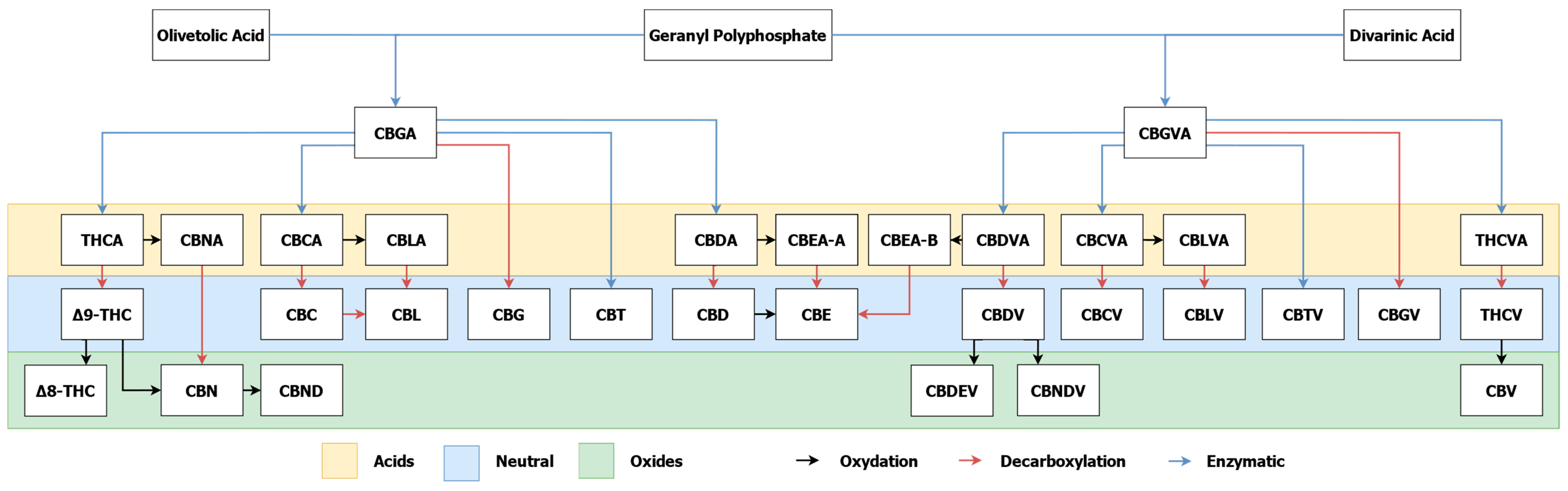 Cosmetics 08 00085 g003 550