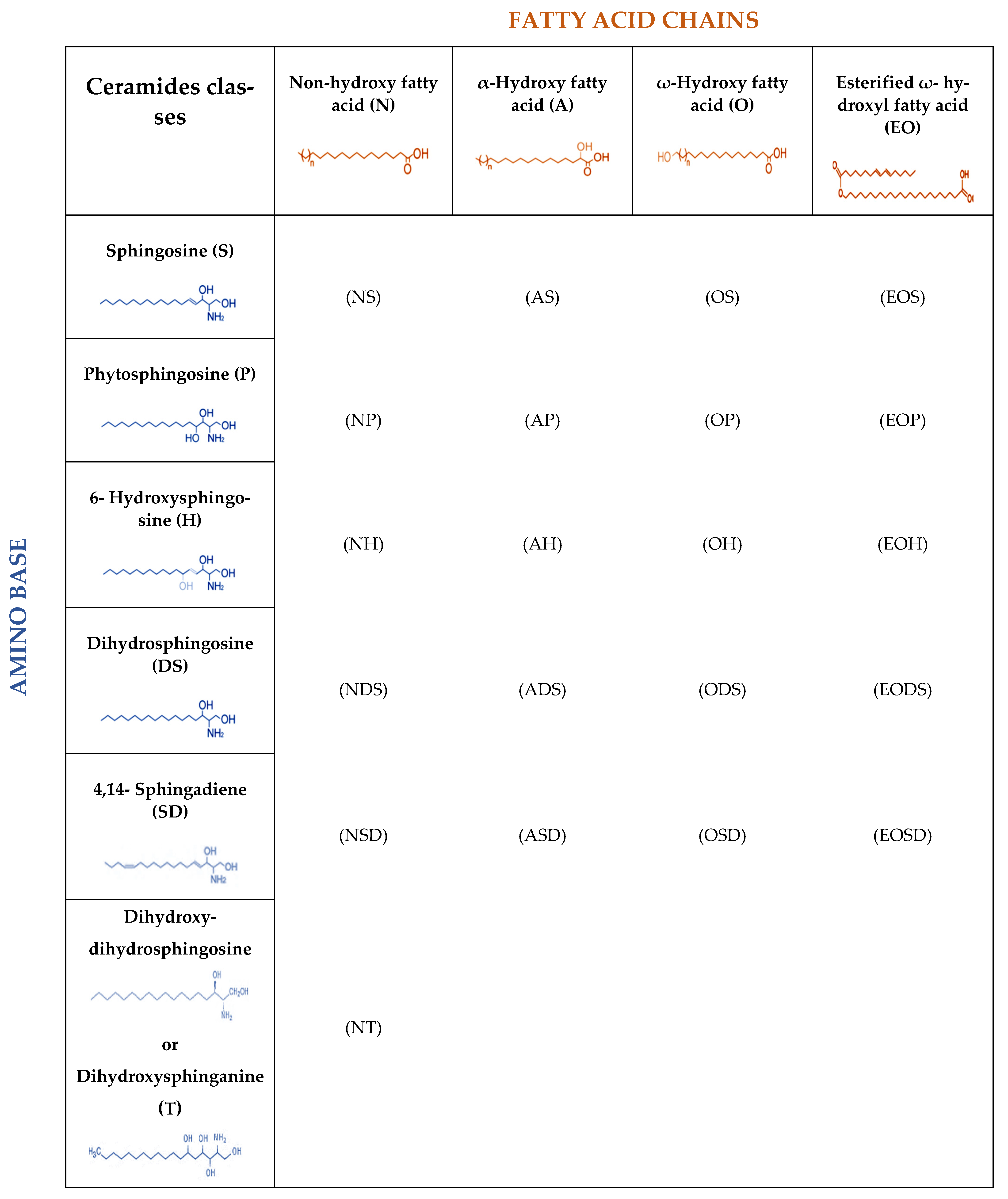 Cosmetics 08 00088 g001