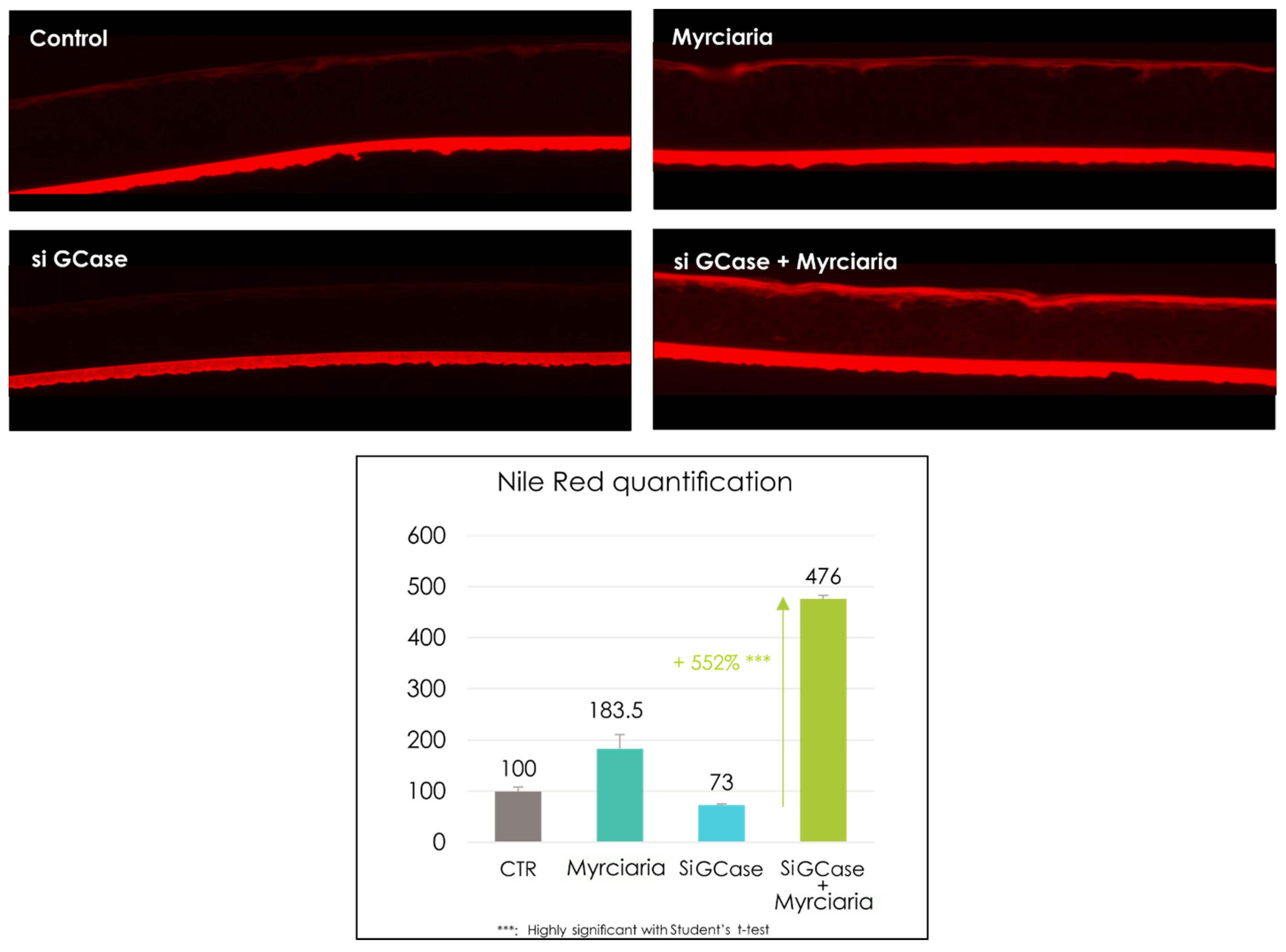 Cosmetics 08 00098 g004