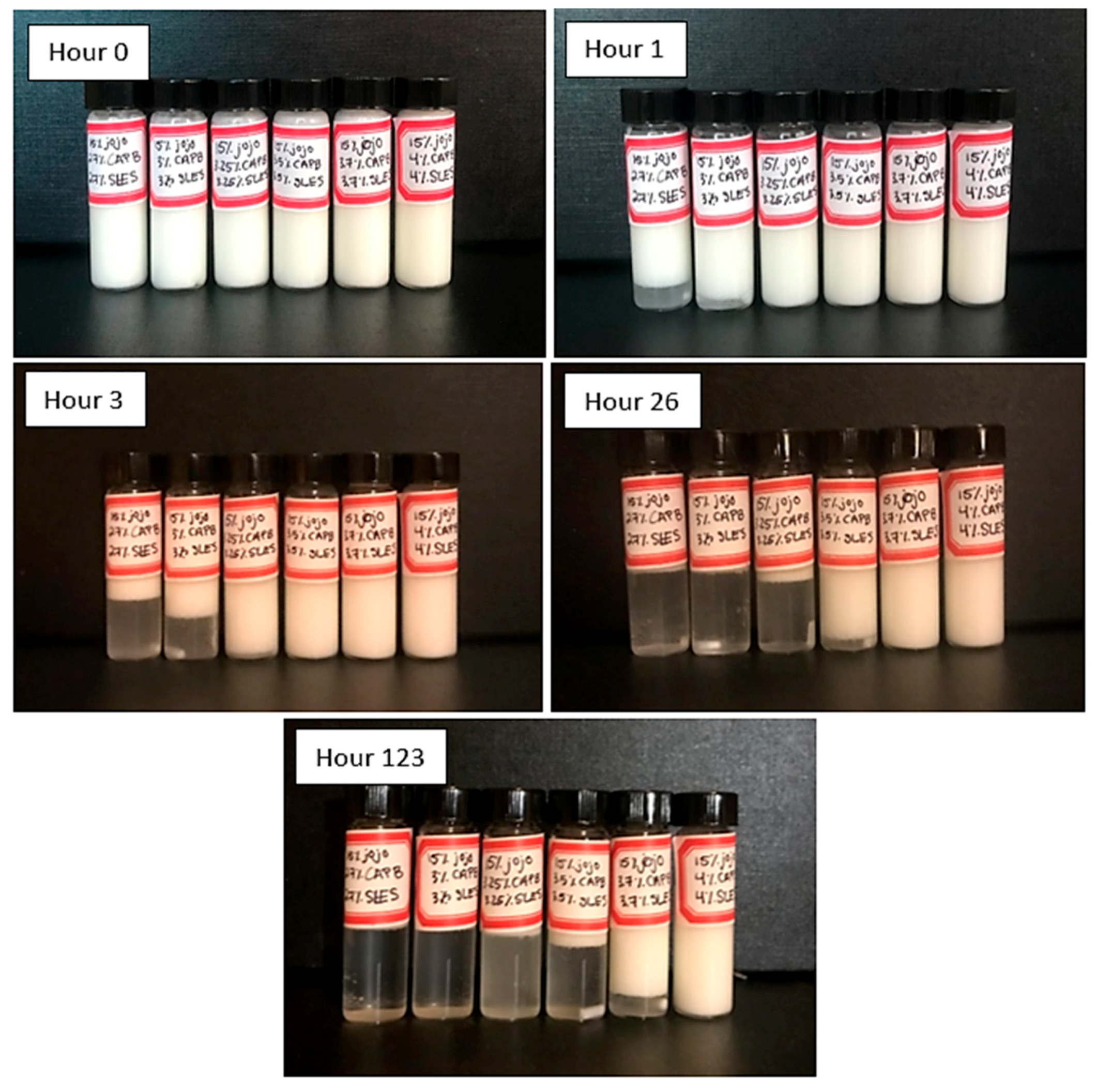 Cosmetics 08 00099 g001