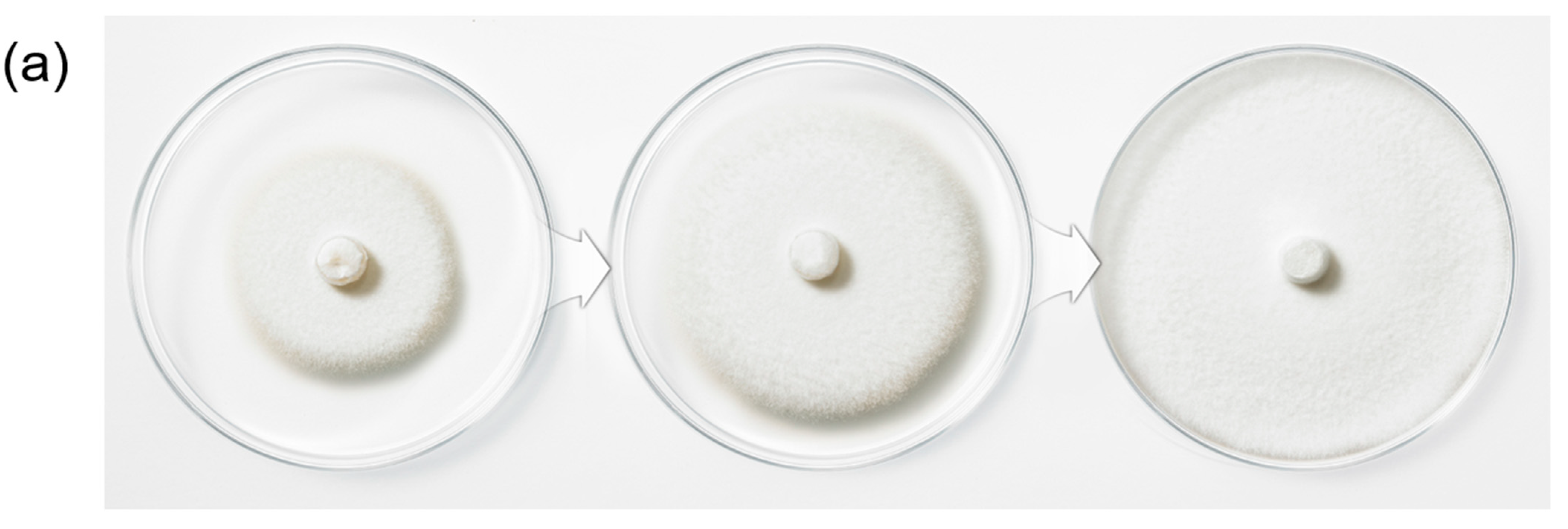 Cosmetics 08 00101 g001a