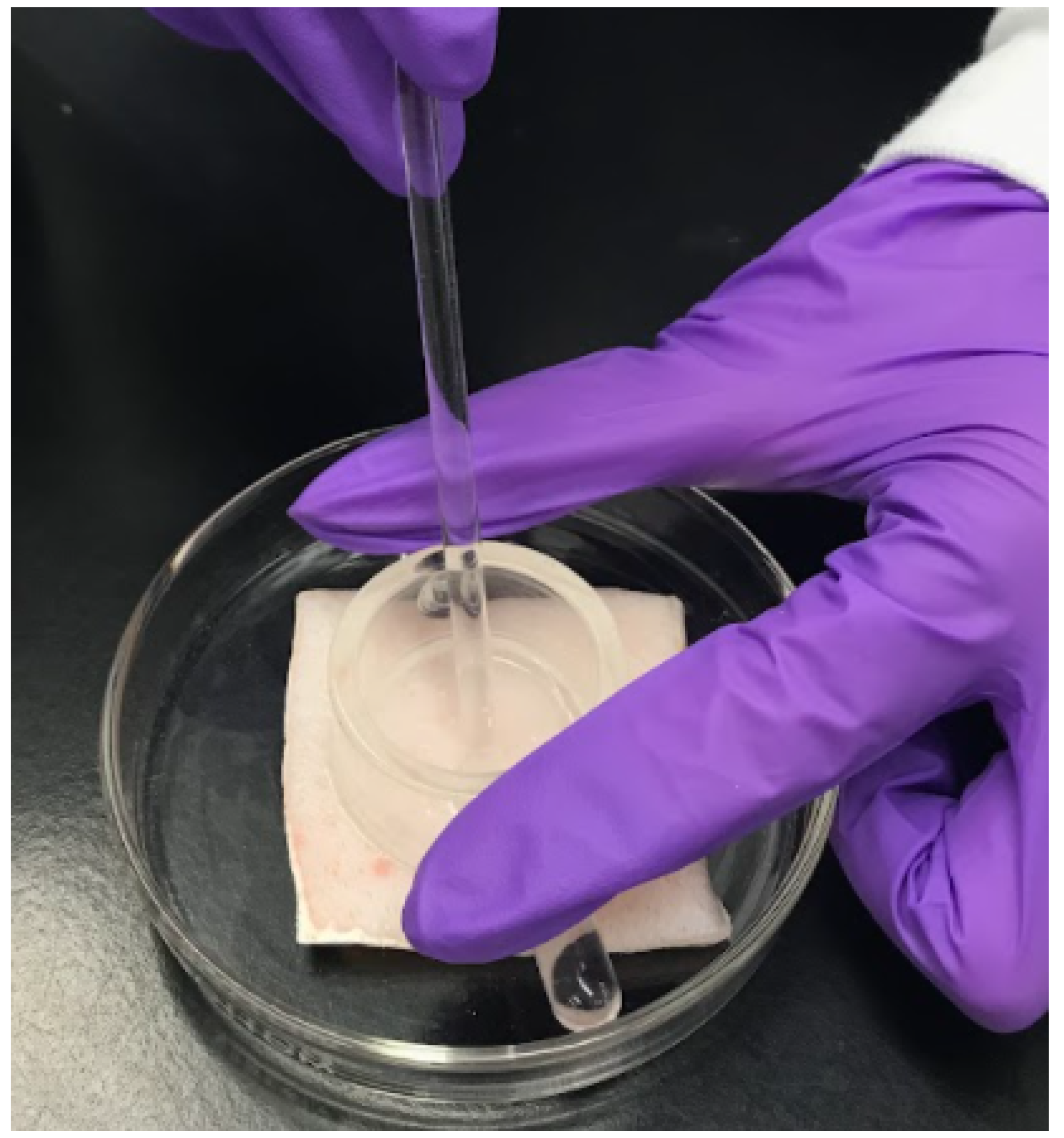 Cosmetics 08 00108 g001 550