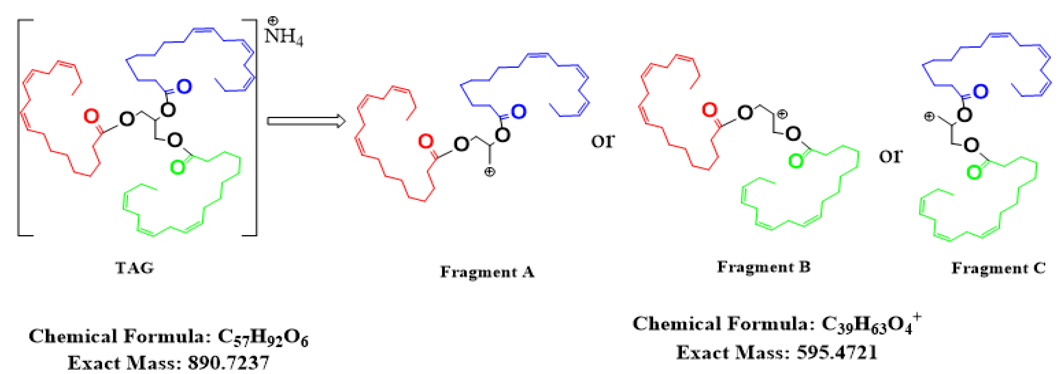 Cosmetics 08 00108 g006 550