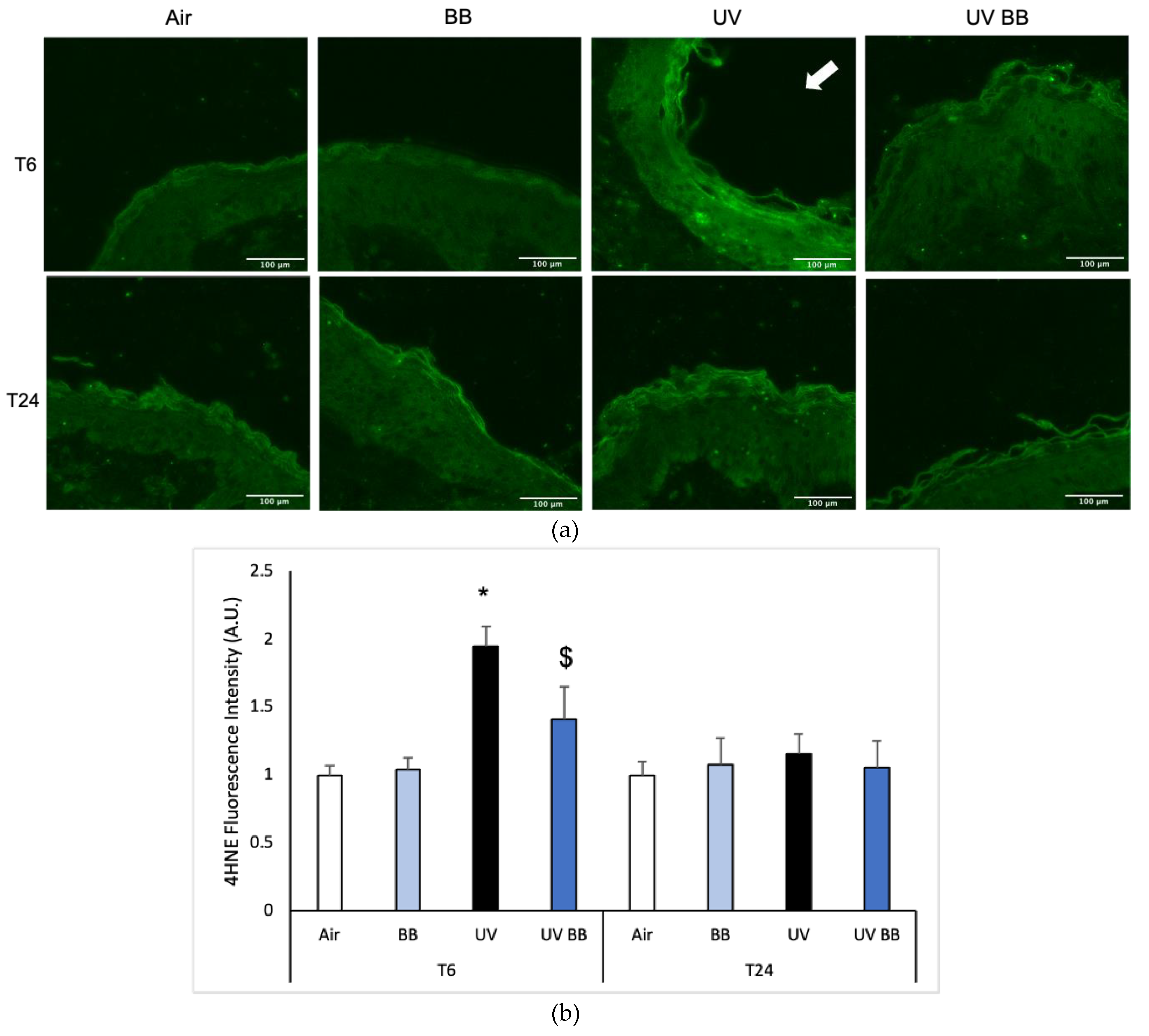 Cosmetics 08 00112 g003a