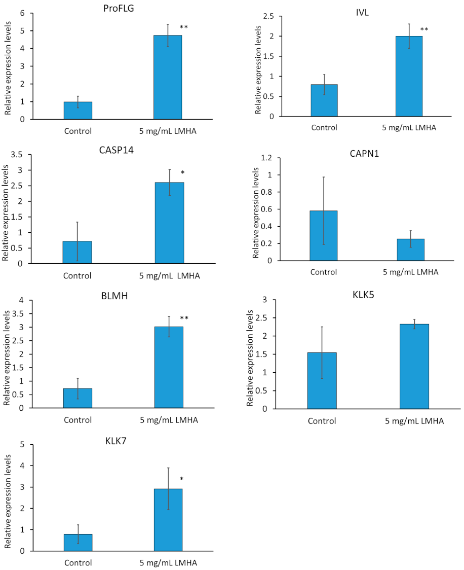 Cosmetics 08 00118 g002 550