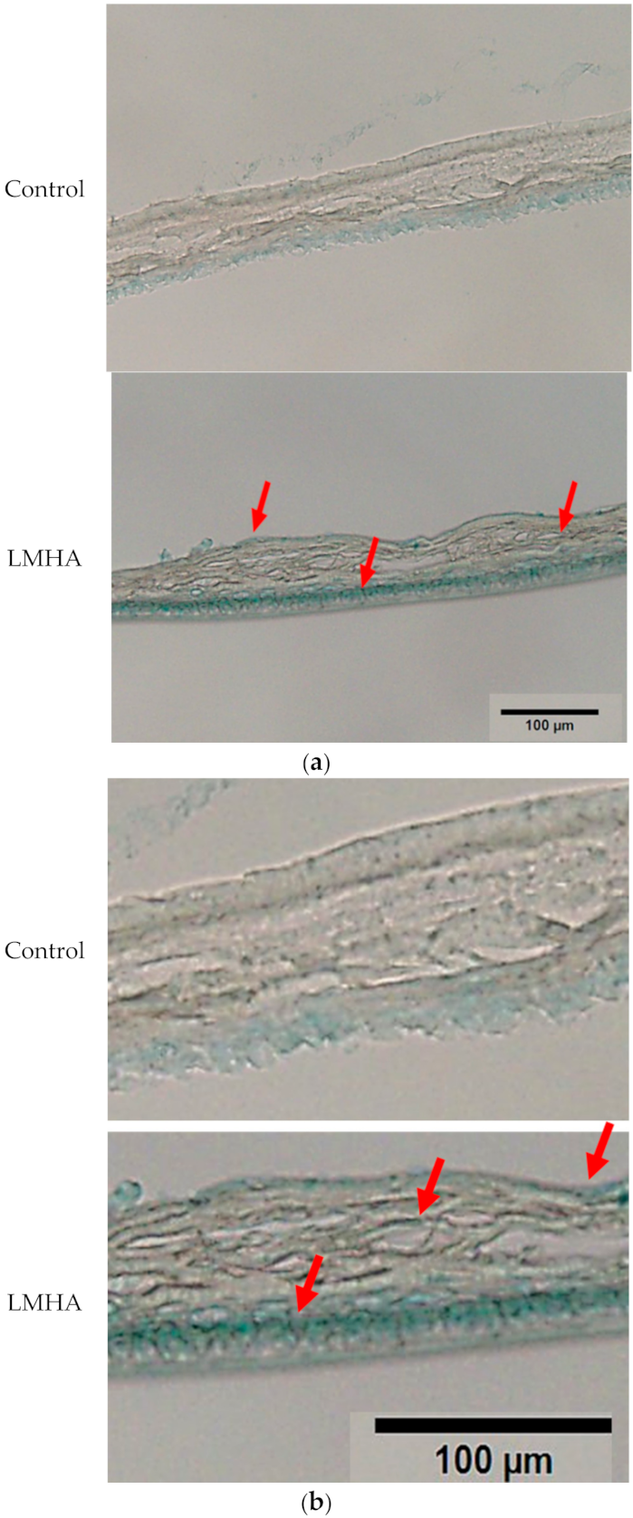 Cosmetics 08 00118 g007 550