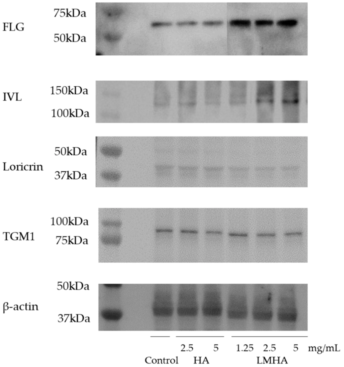 Cosmetics 08 00118 g008 550