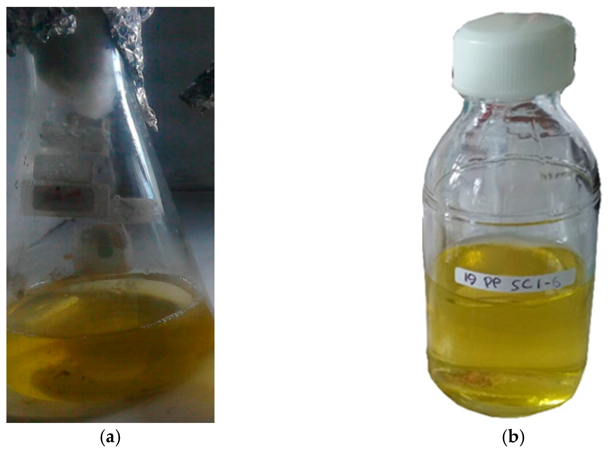 Cosmetics 08 00120 g001