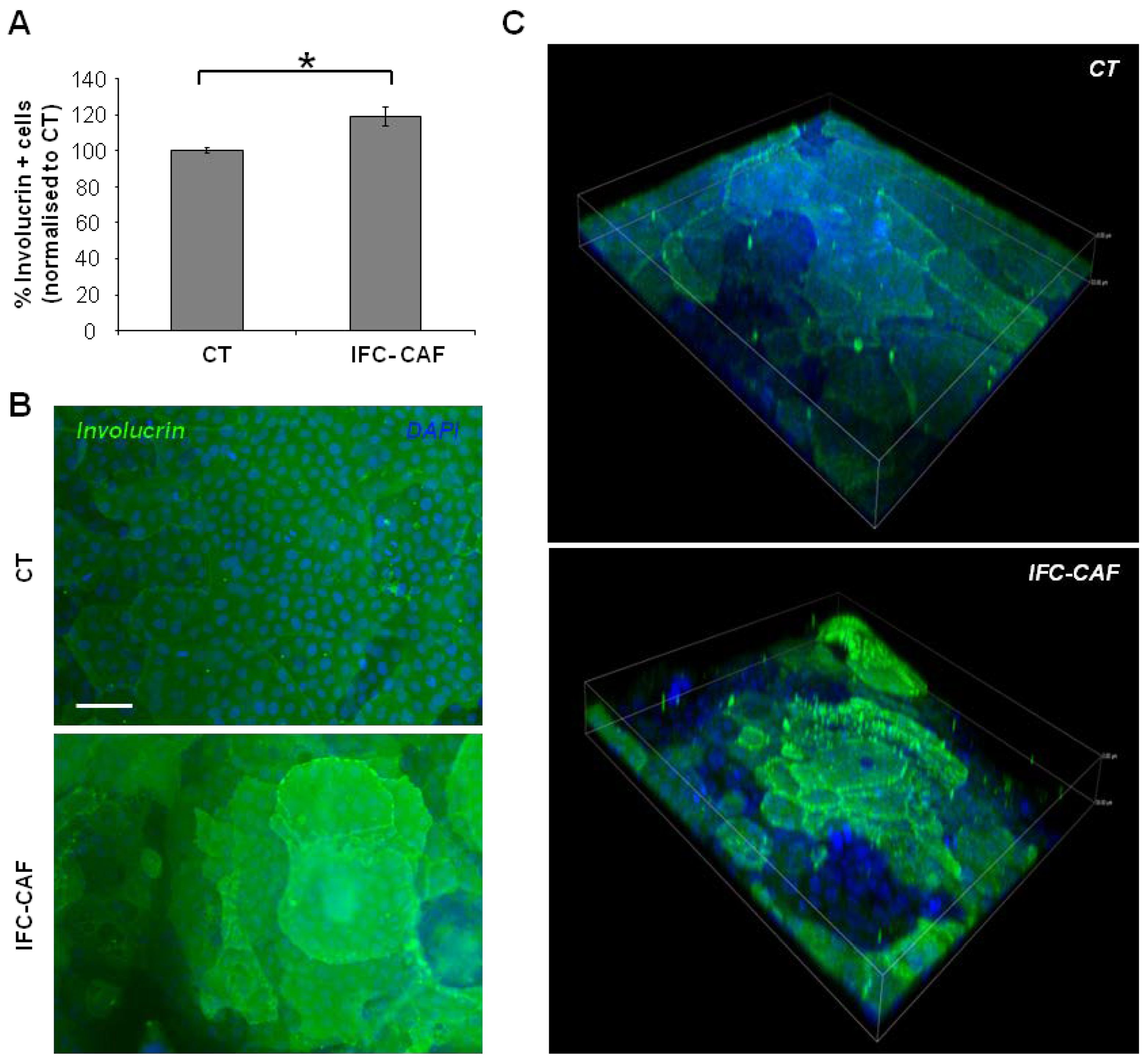 Cosmetics 09 00002 g003 550