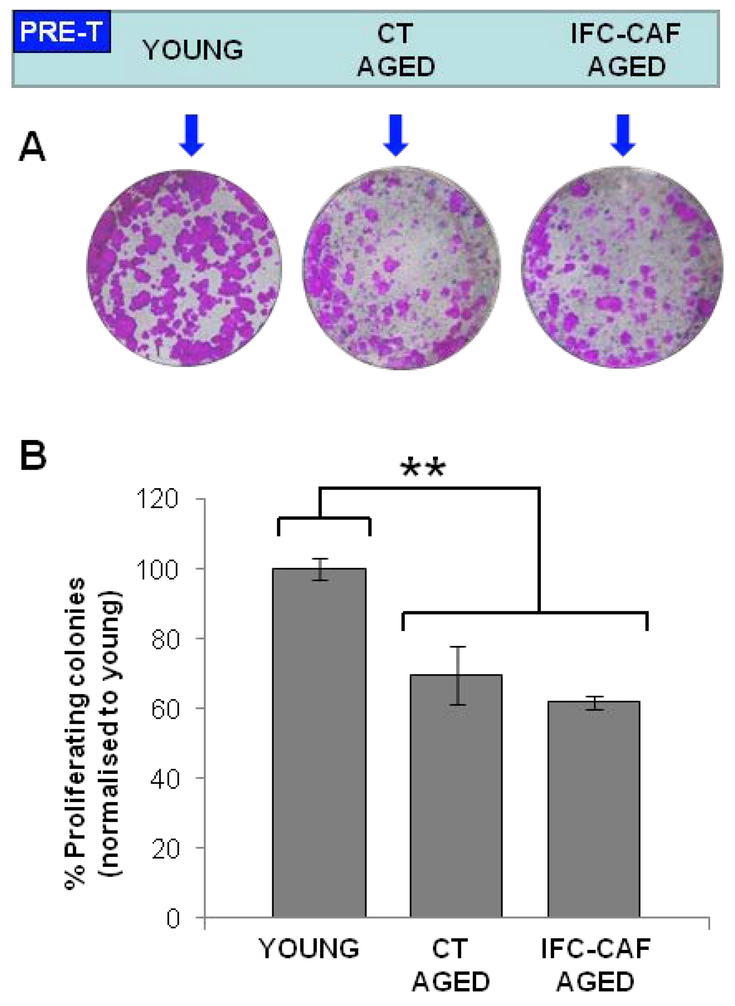Cosmetics 09 00002 g005 550