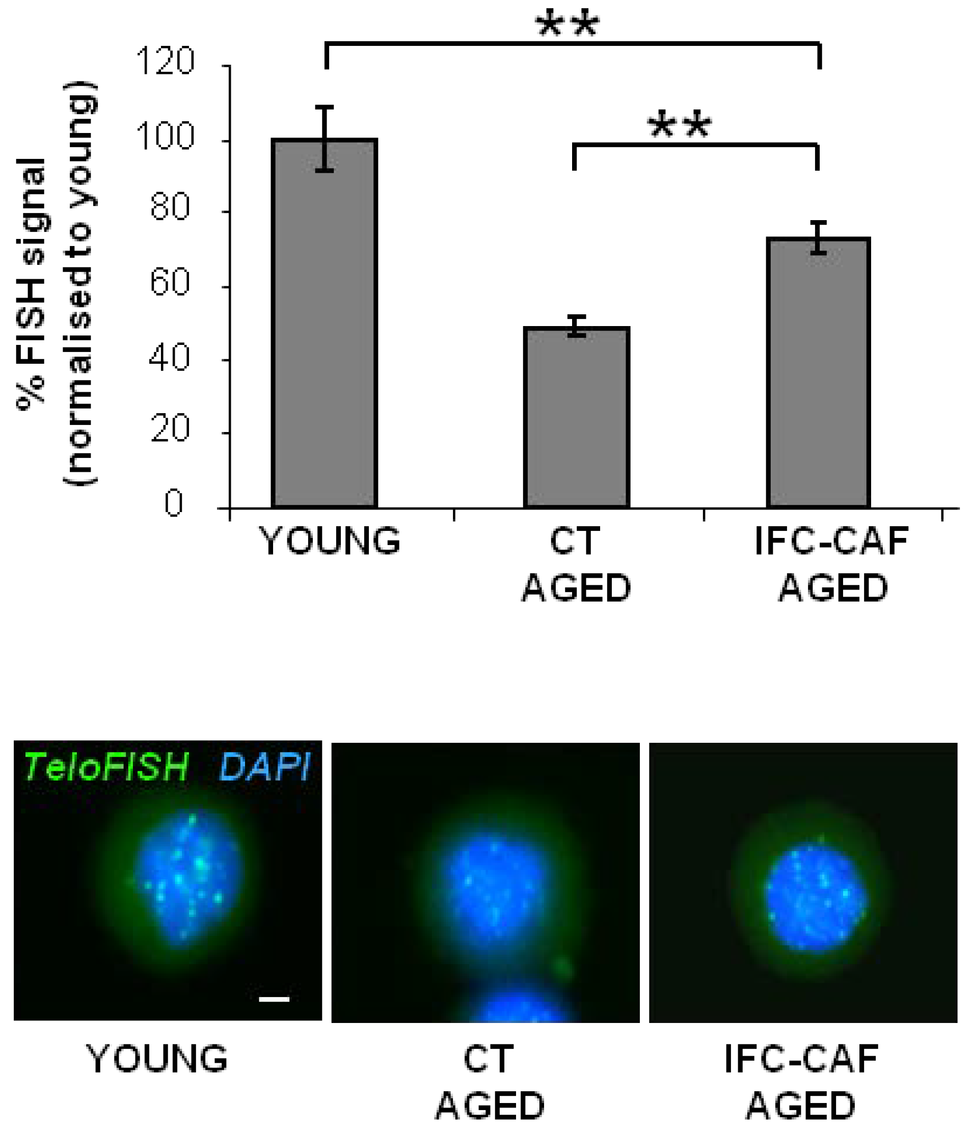 Cosmetics 09 00002 g006 550
