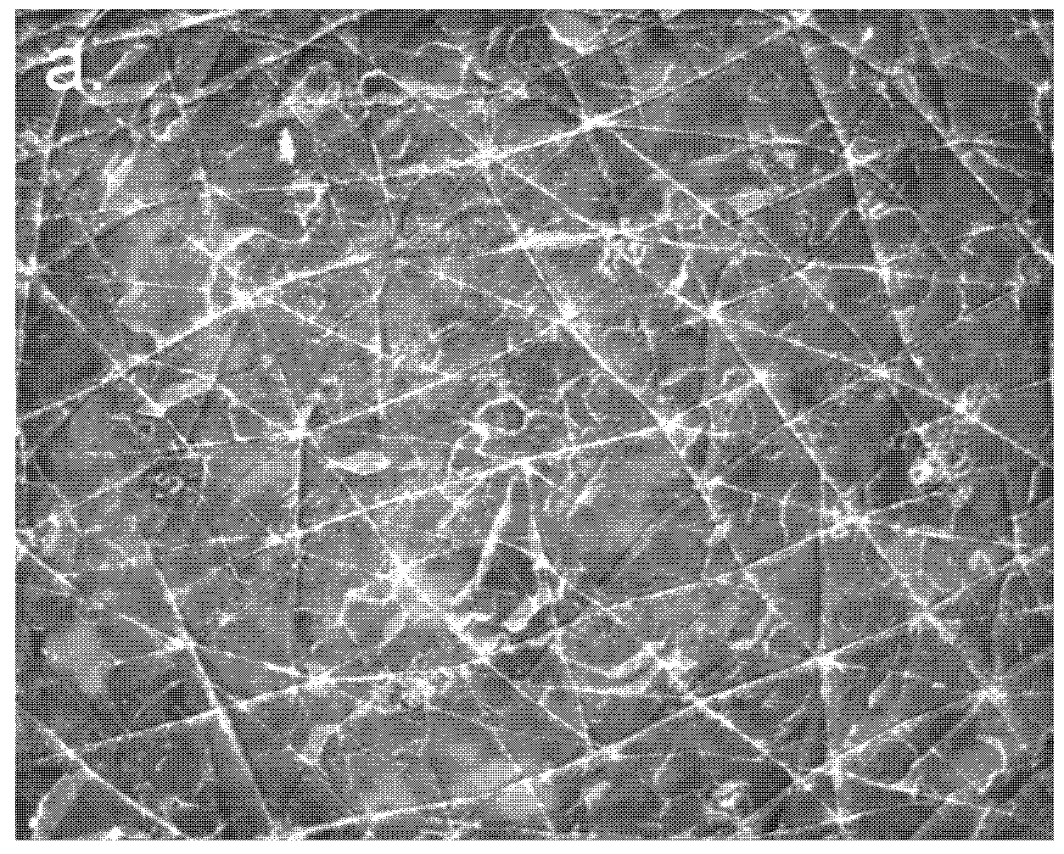 Cosmetics 09 00005 g001a