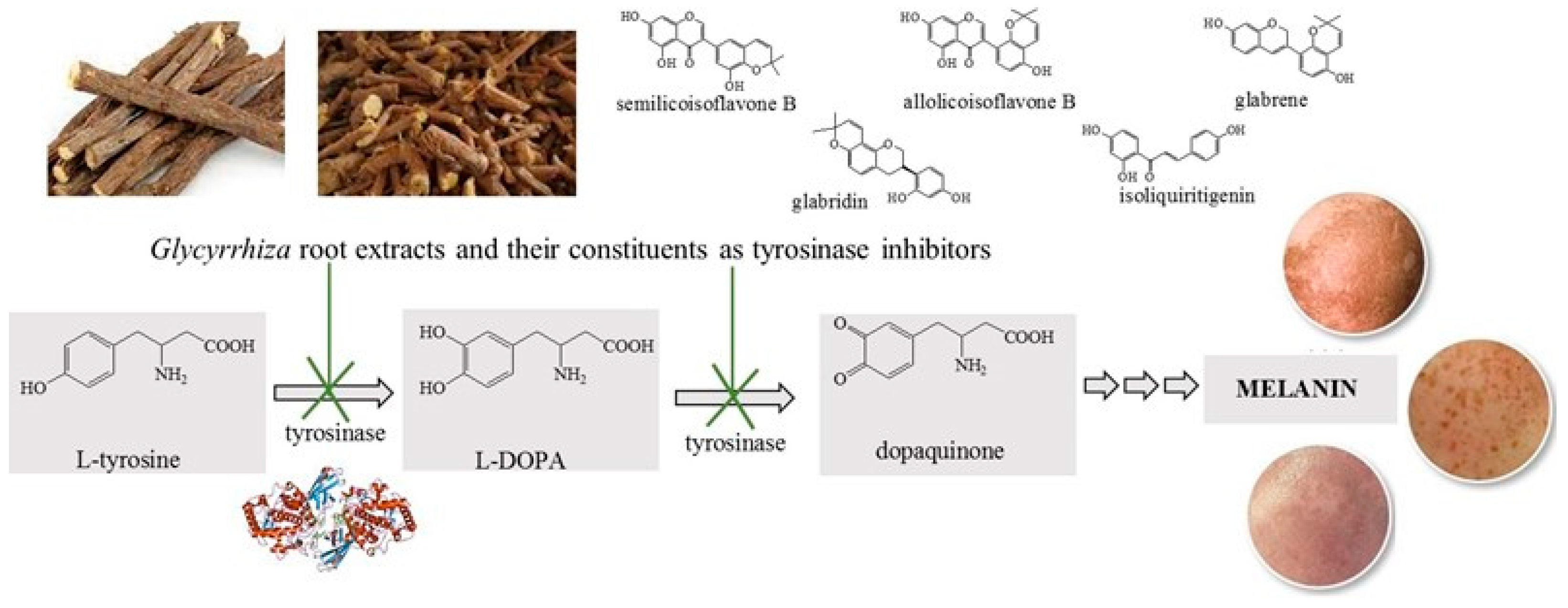 Cosmetics 09 00007 g003