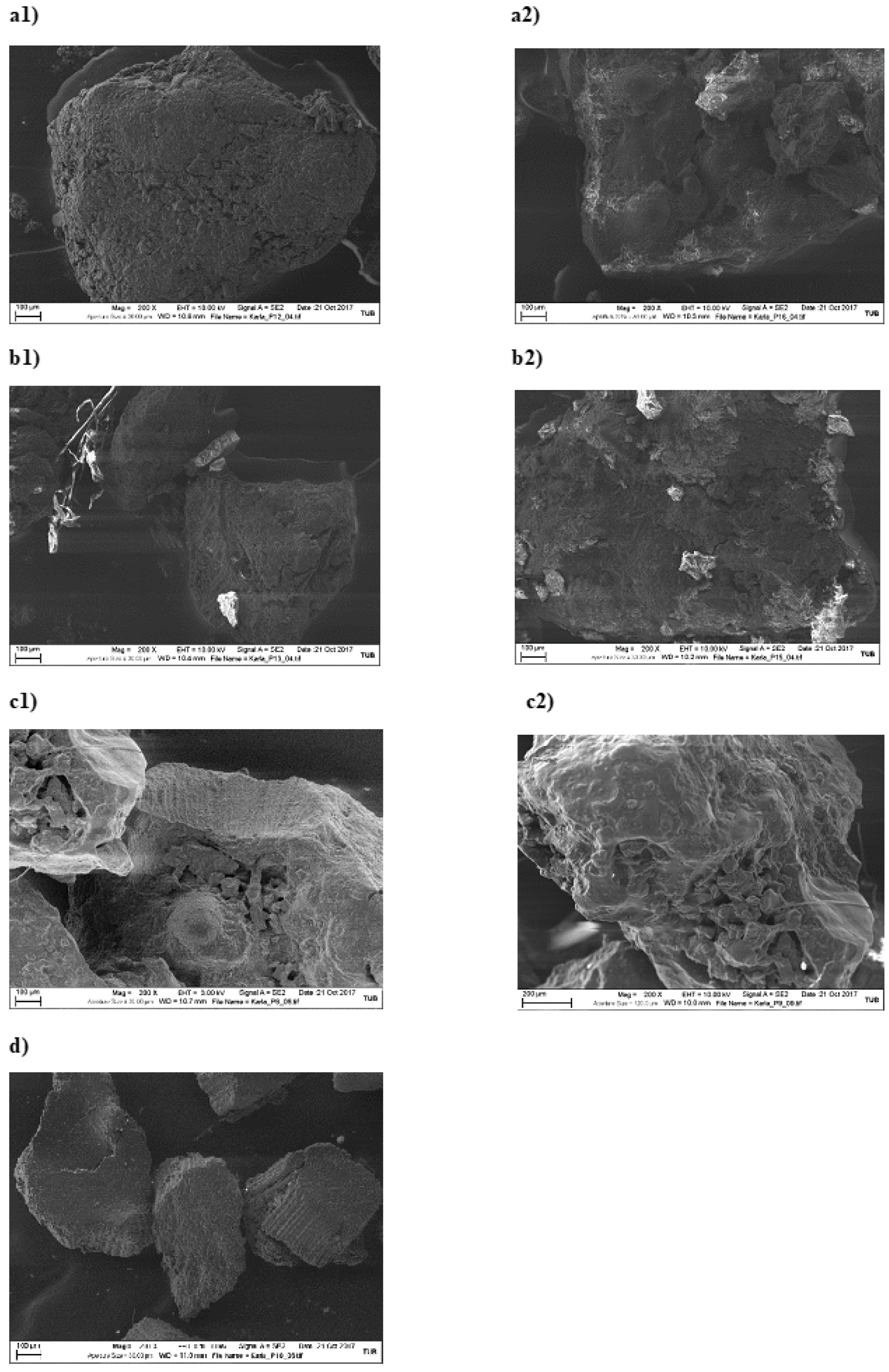 Cosmetics 09 00015 g002 550