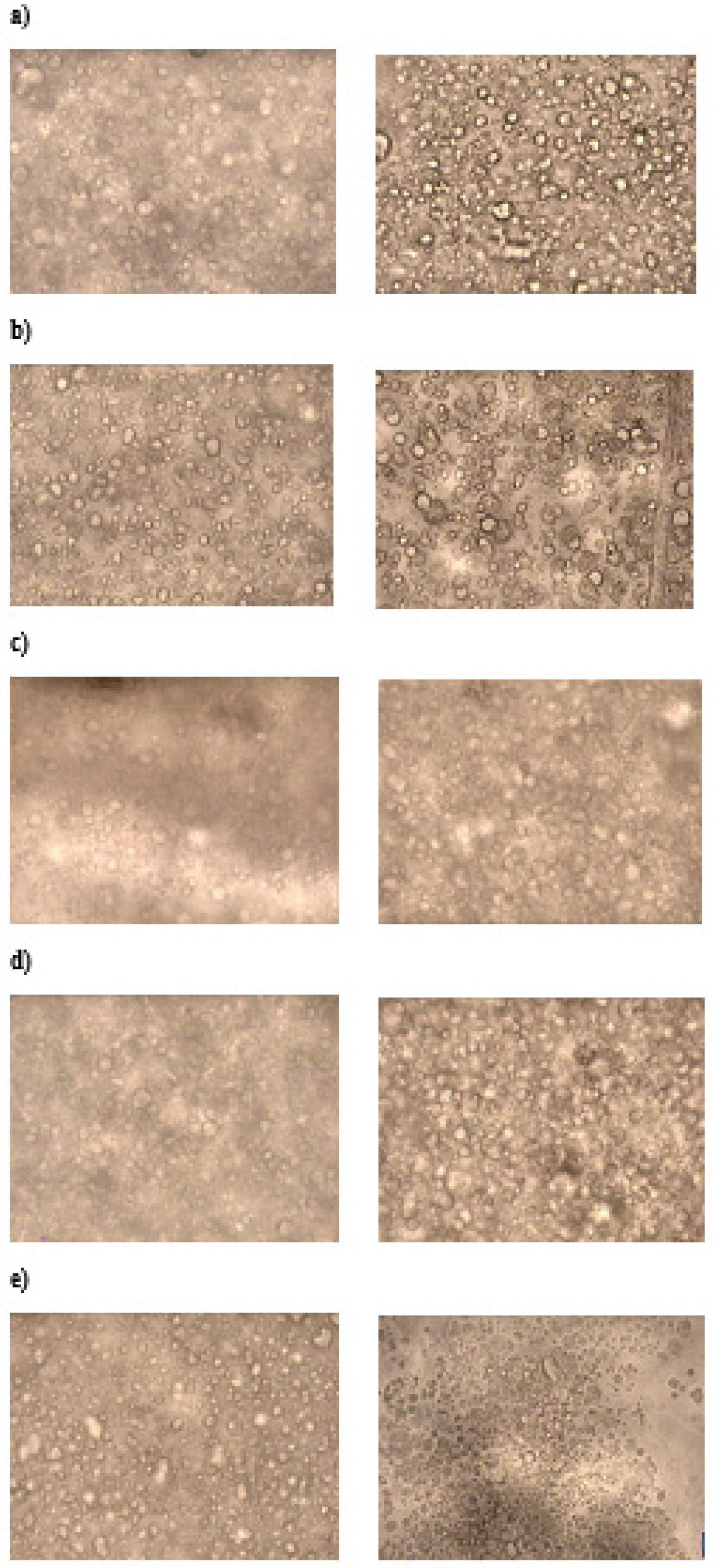 Cosmetics 09 00015 g006 550